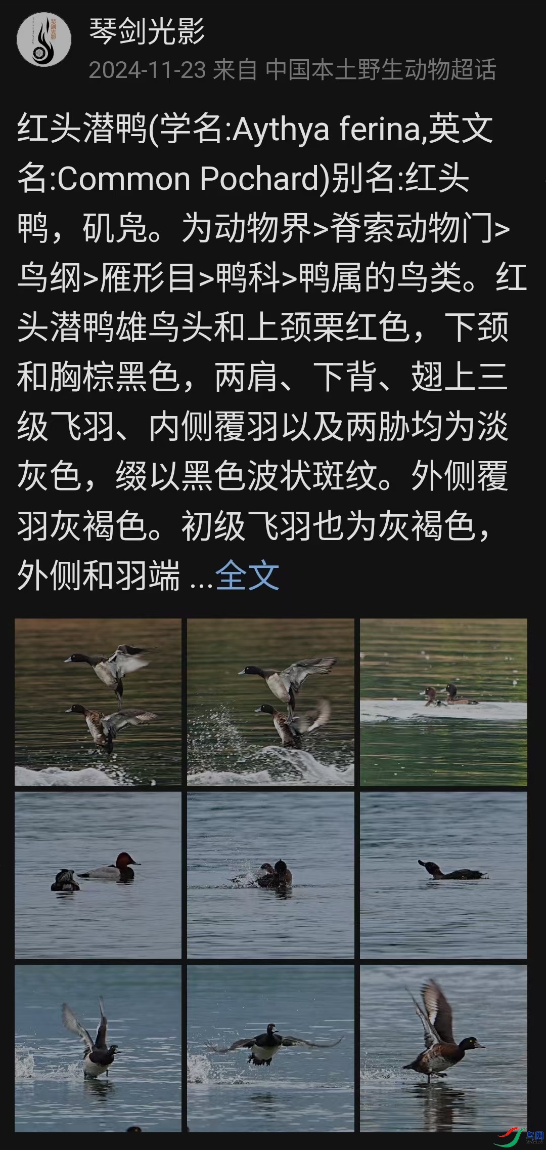 ΢��ͼƬ_20250305121724.jpg