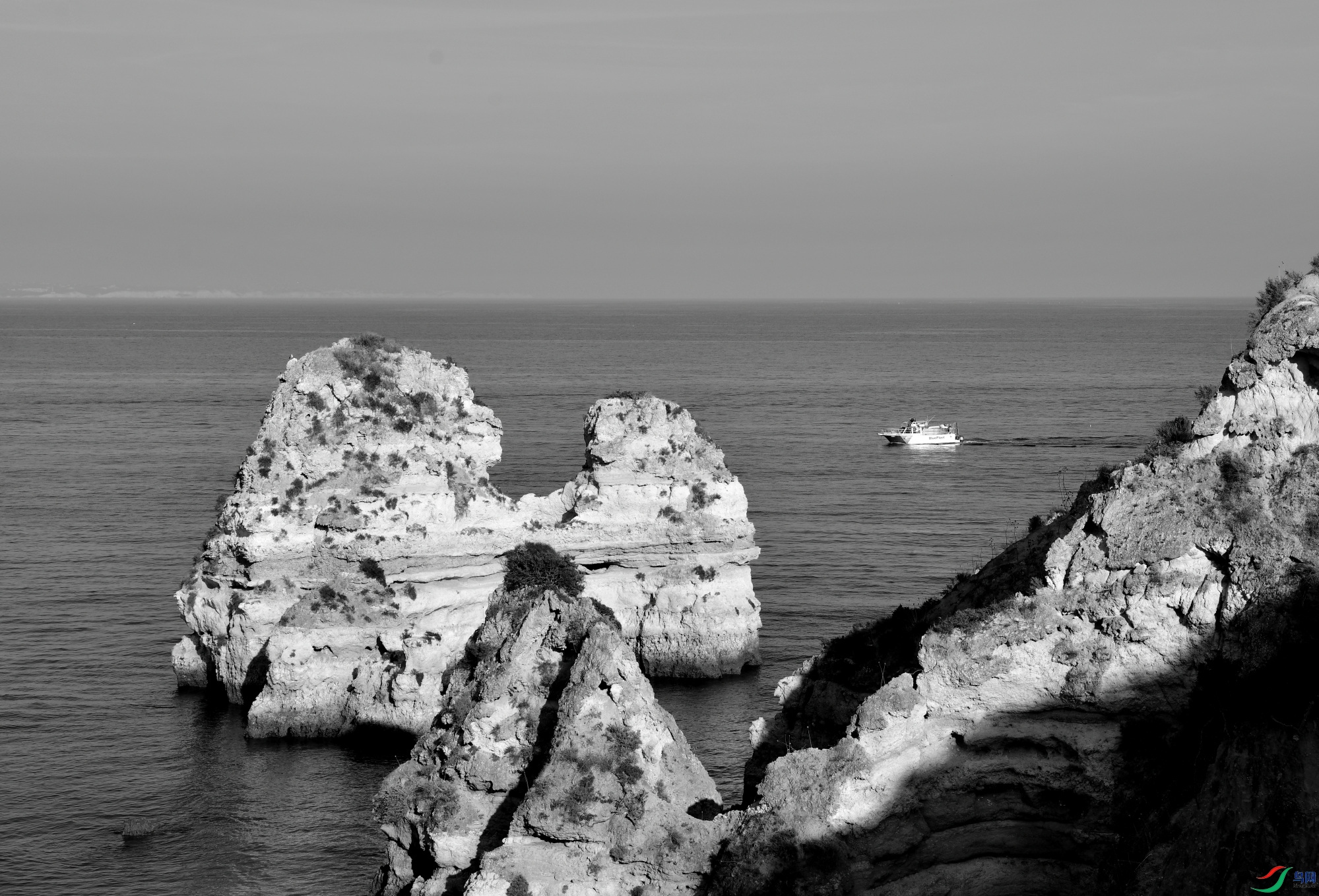 _DSC1502_01.JPG