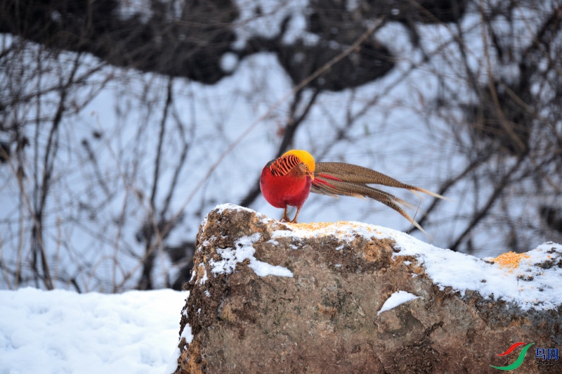 DSC_3497.JPG