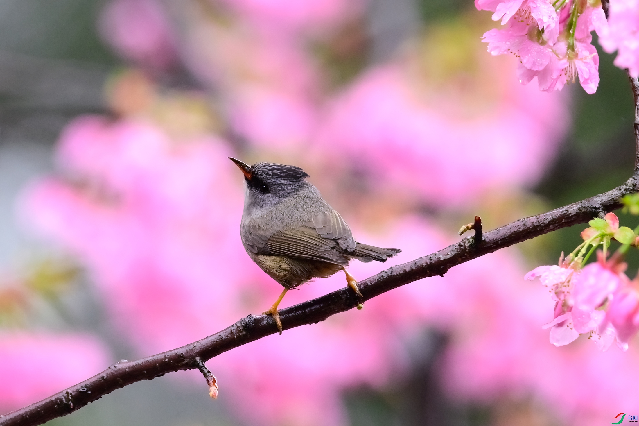_DSC4690x.jpg
