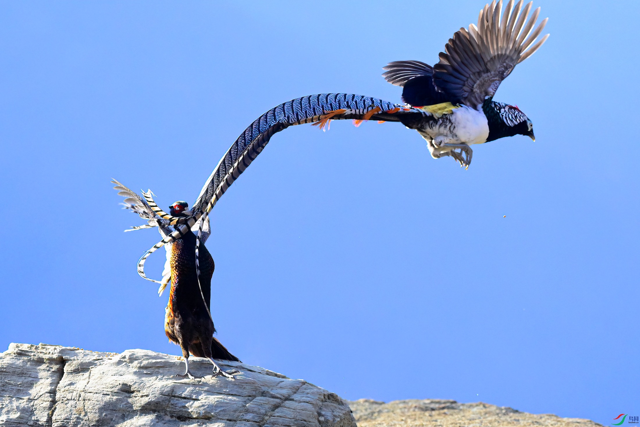 _DSC3437x.jpg