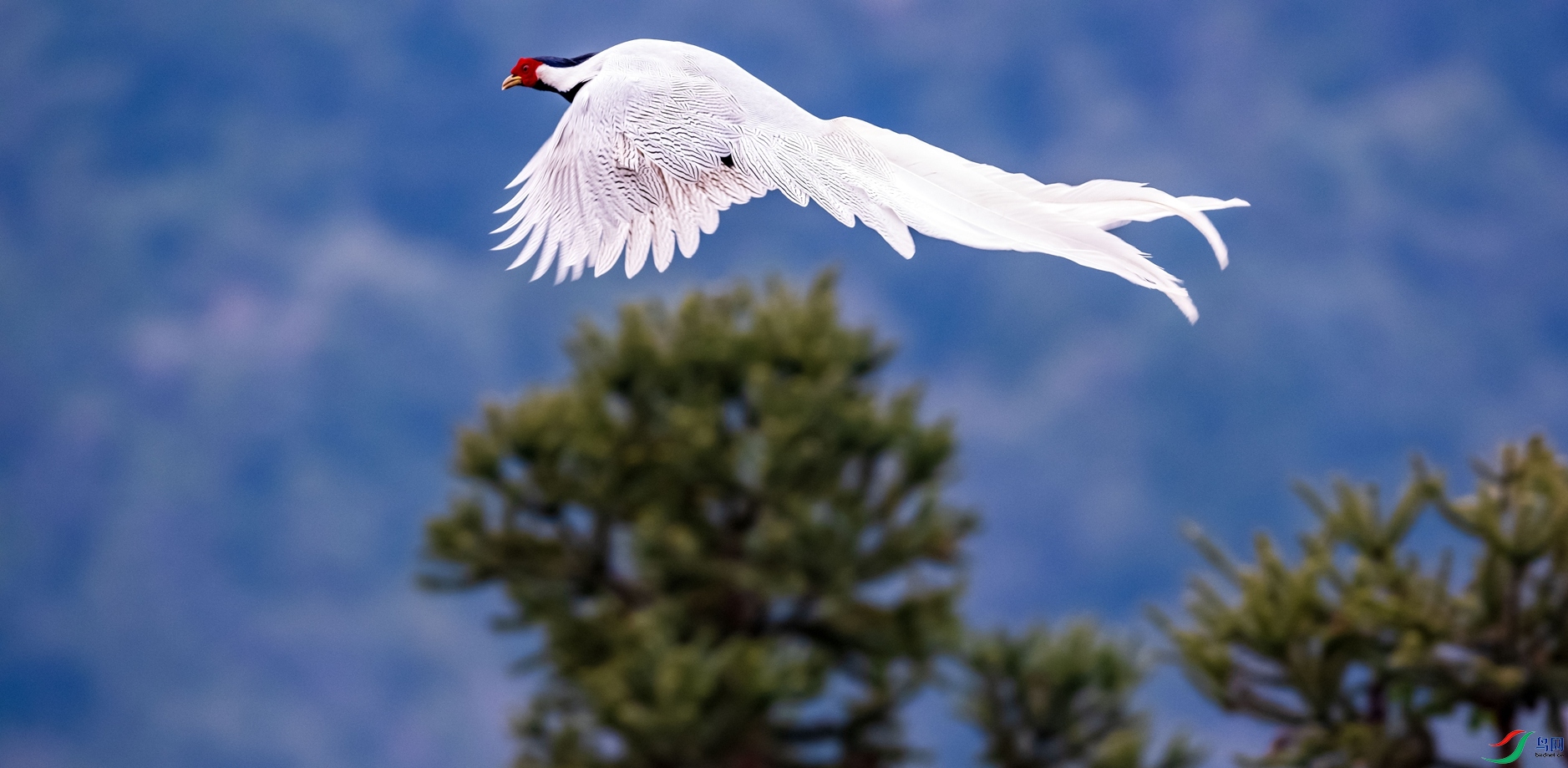 ����