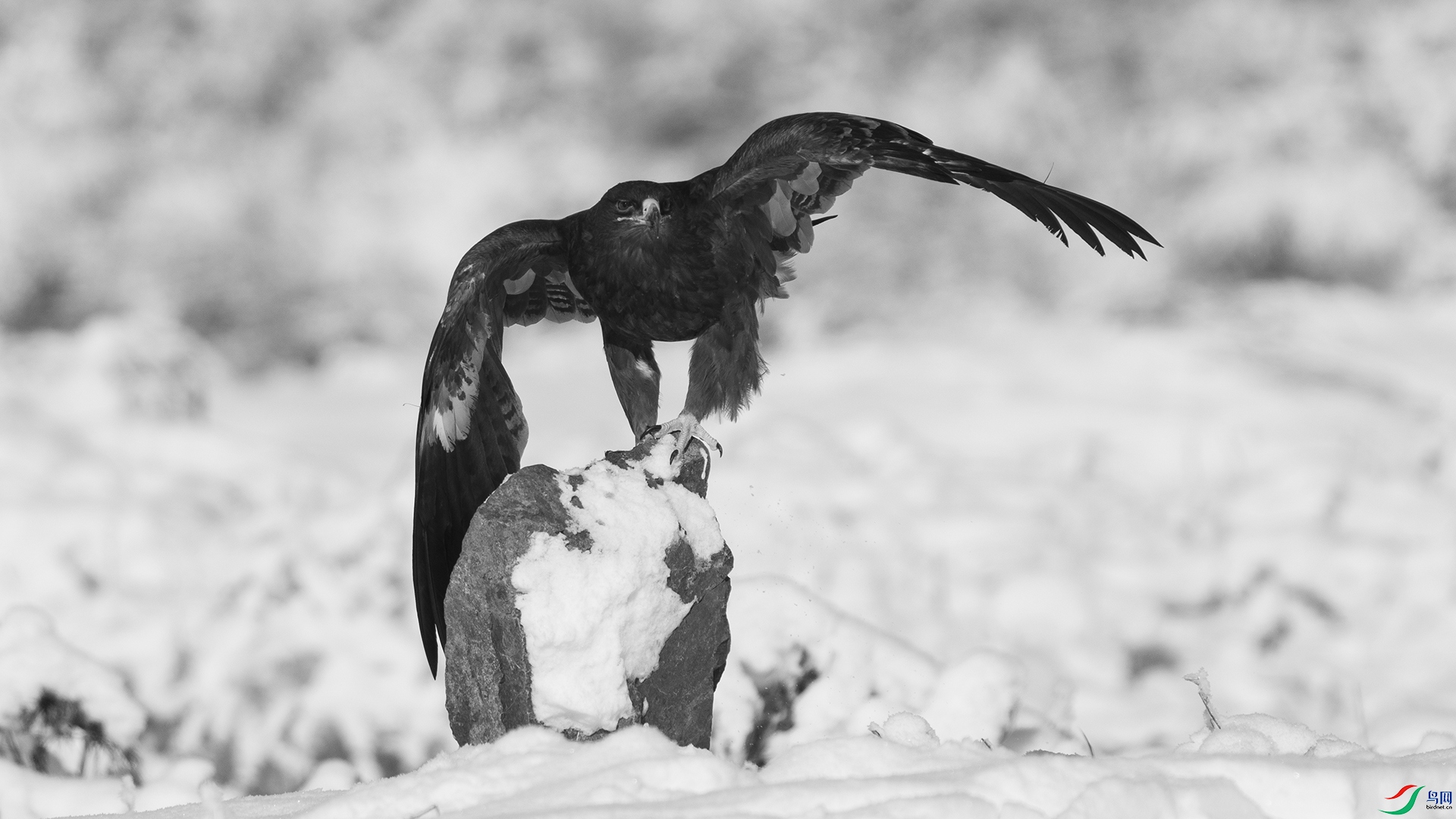 DSC05110 ����.jpg