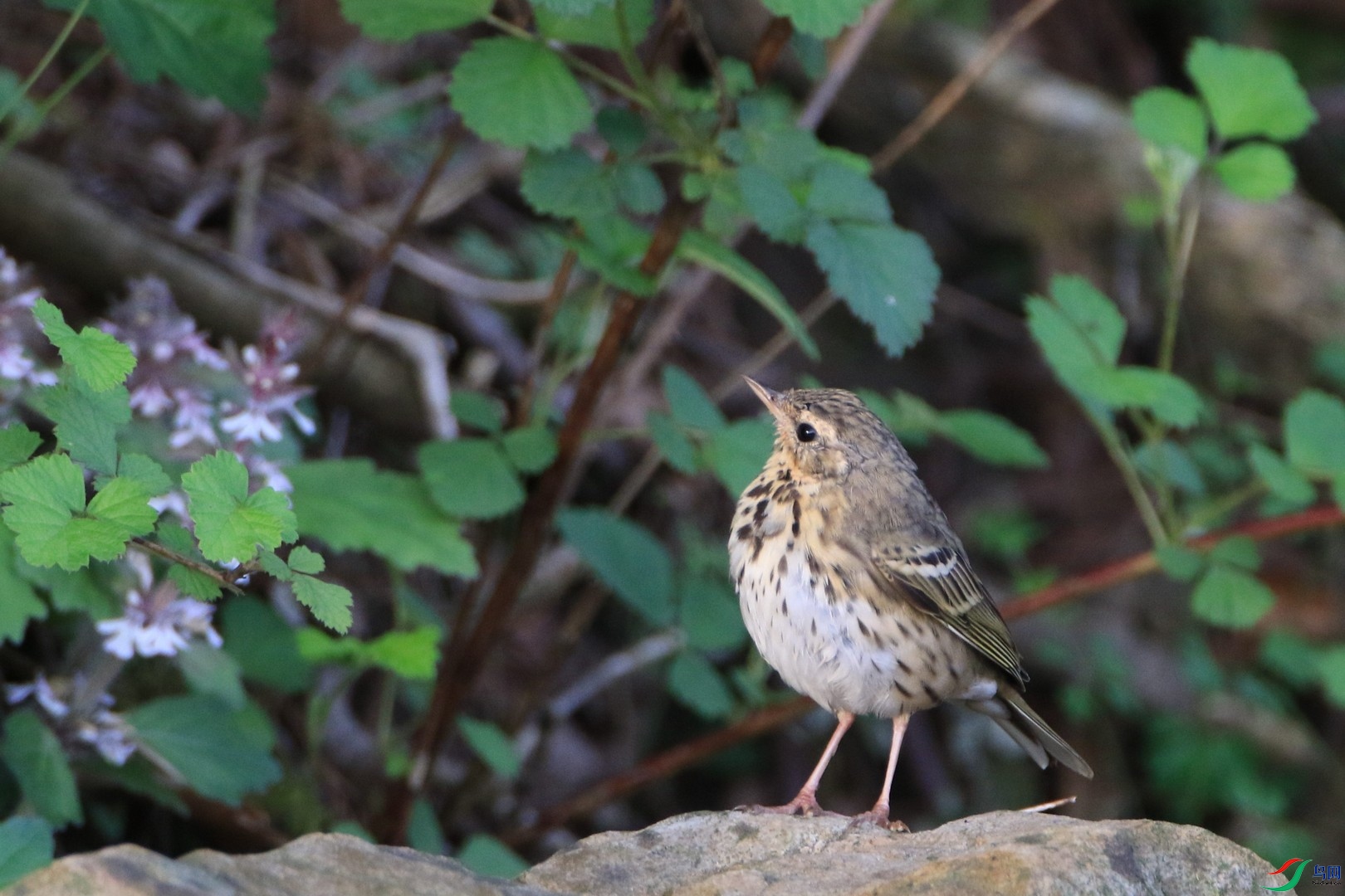 ʲô��  0F4A7281.jpg