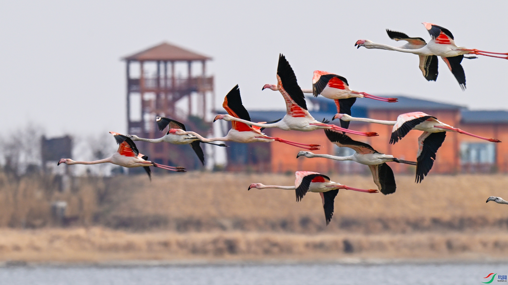 _DSC4115_���� - ����.jpg