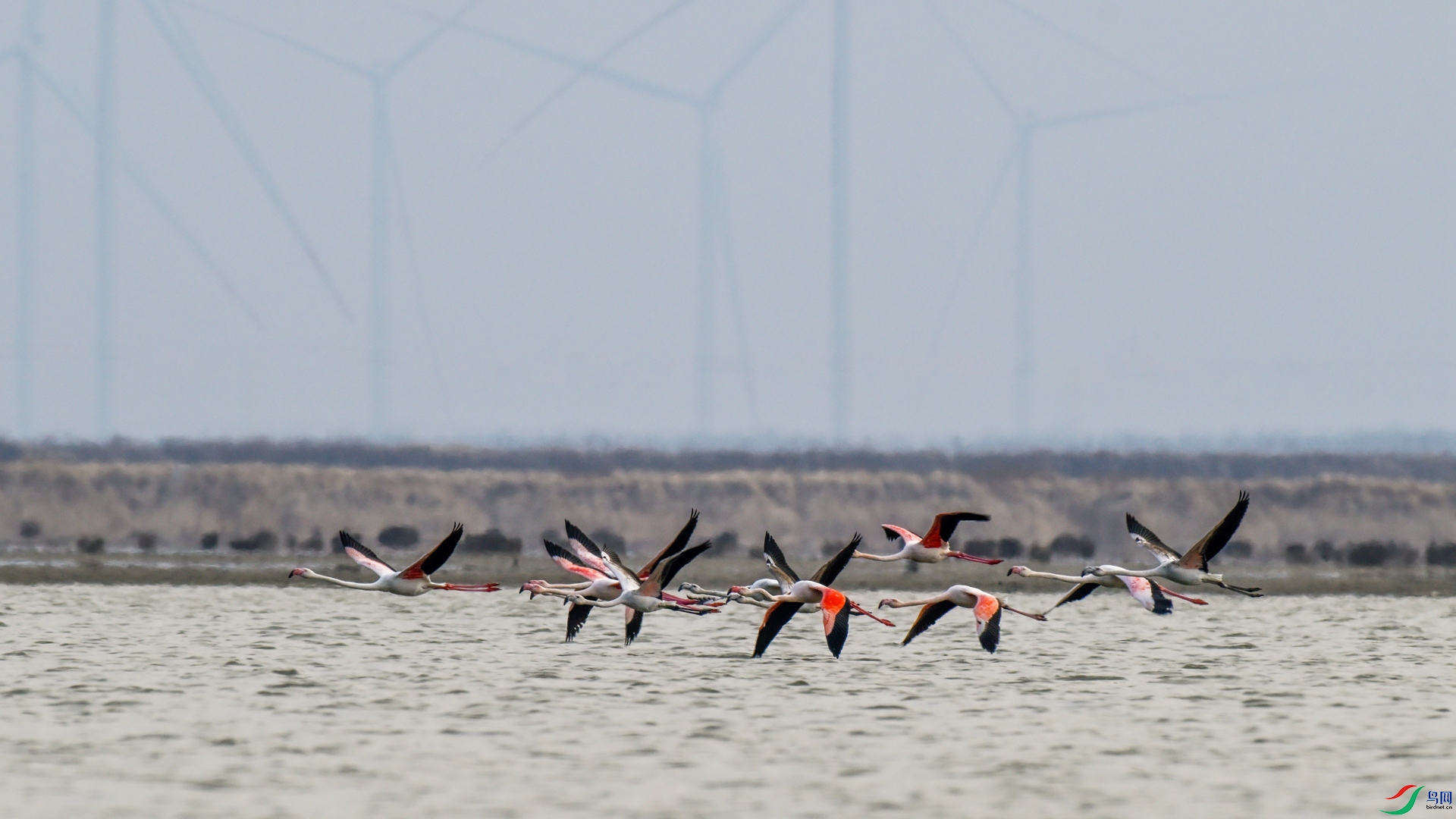 _DSC6801_���� - ����.jpg