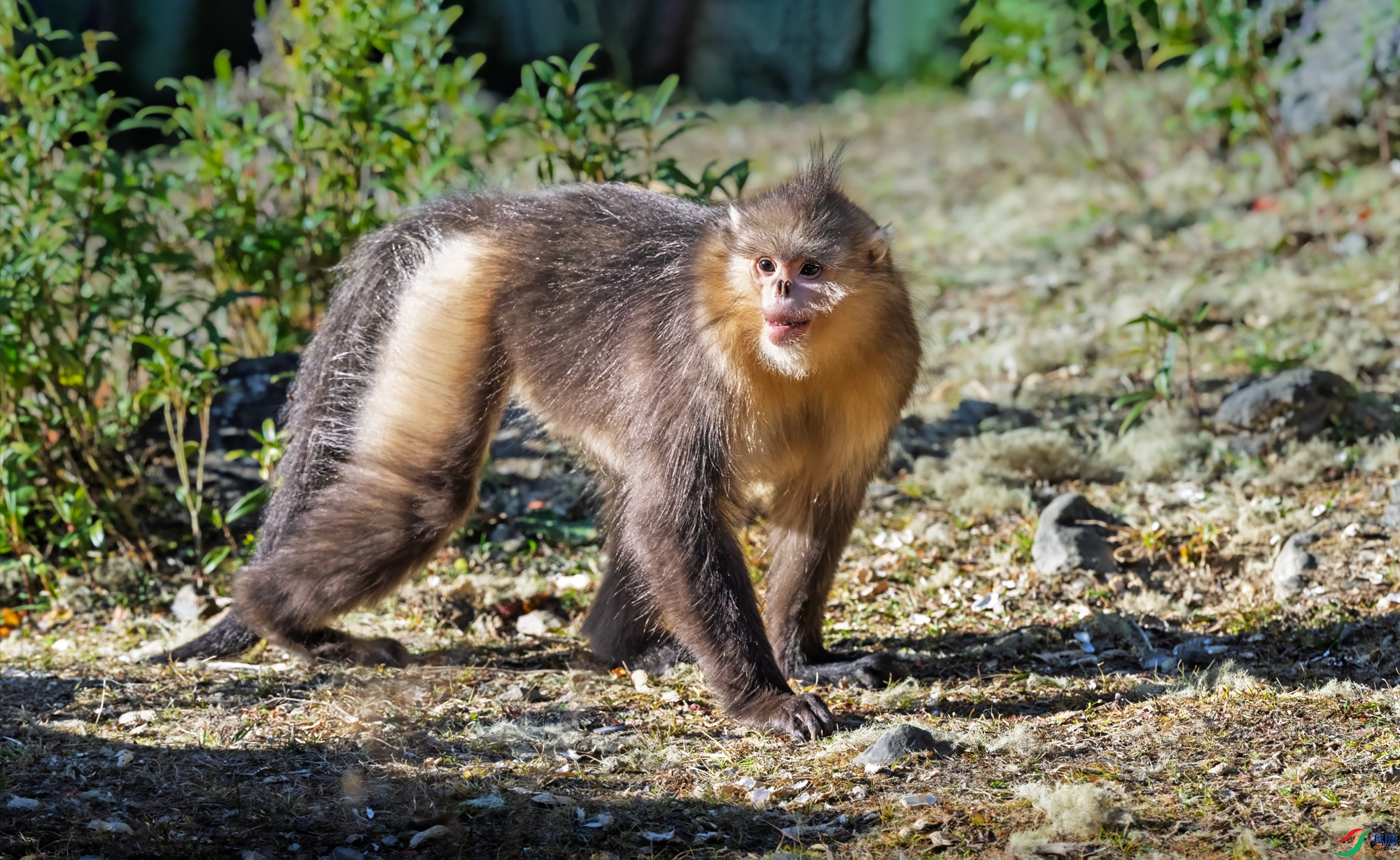 DSC_8839-2.jpg