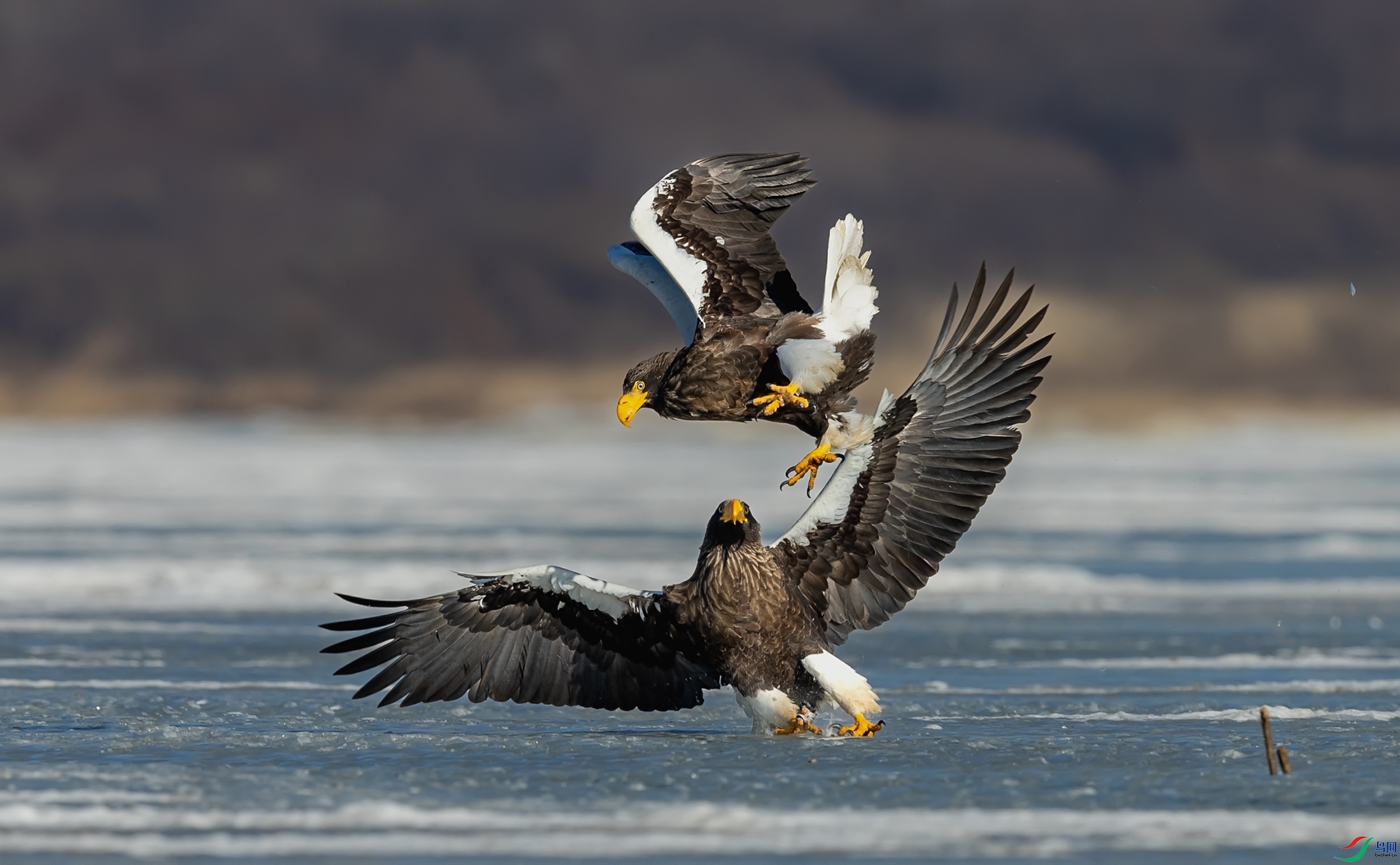 ��ͷ����