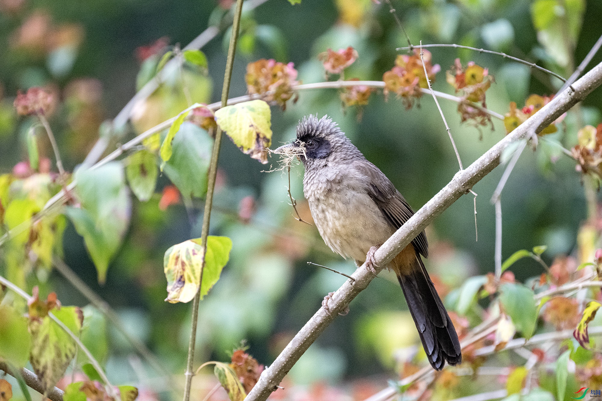 DSC_1312.jpg