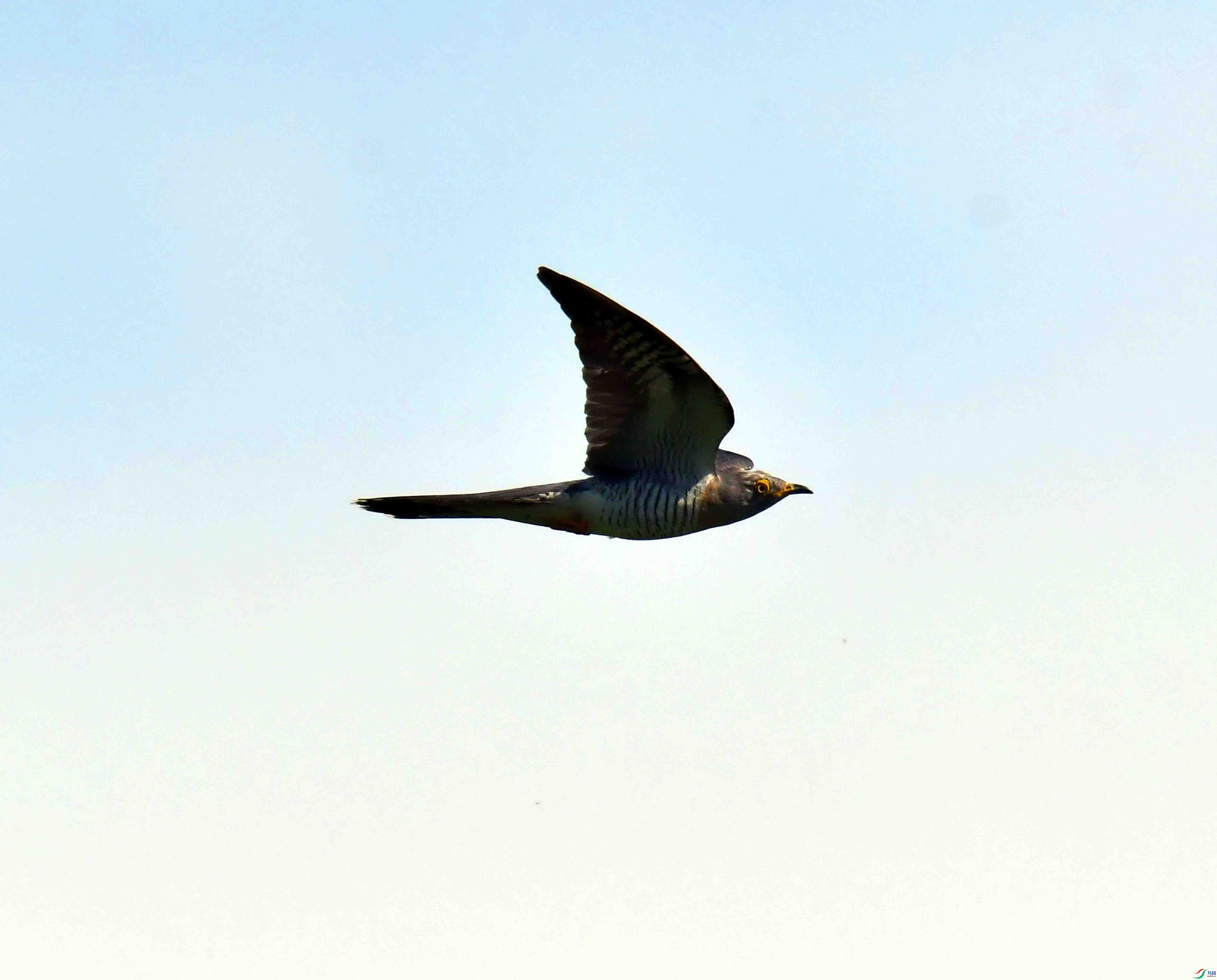 DSC_6413.JPG