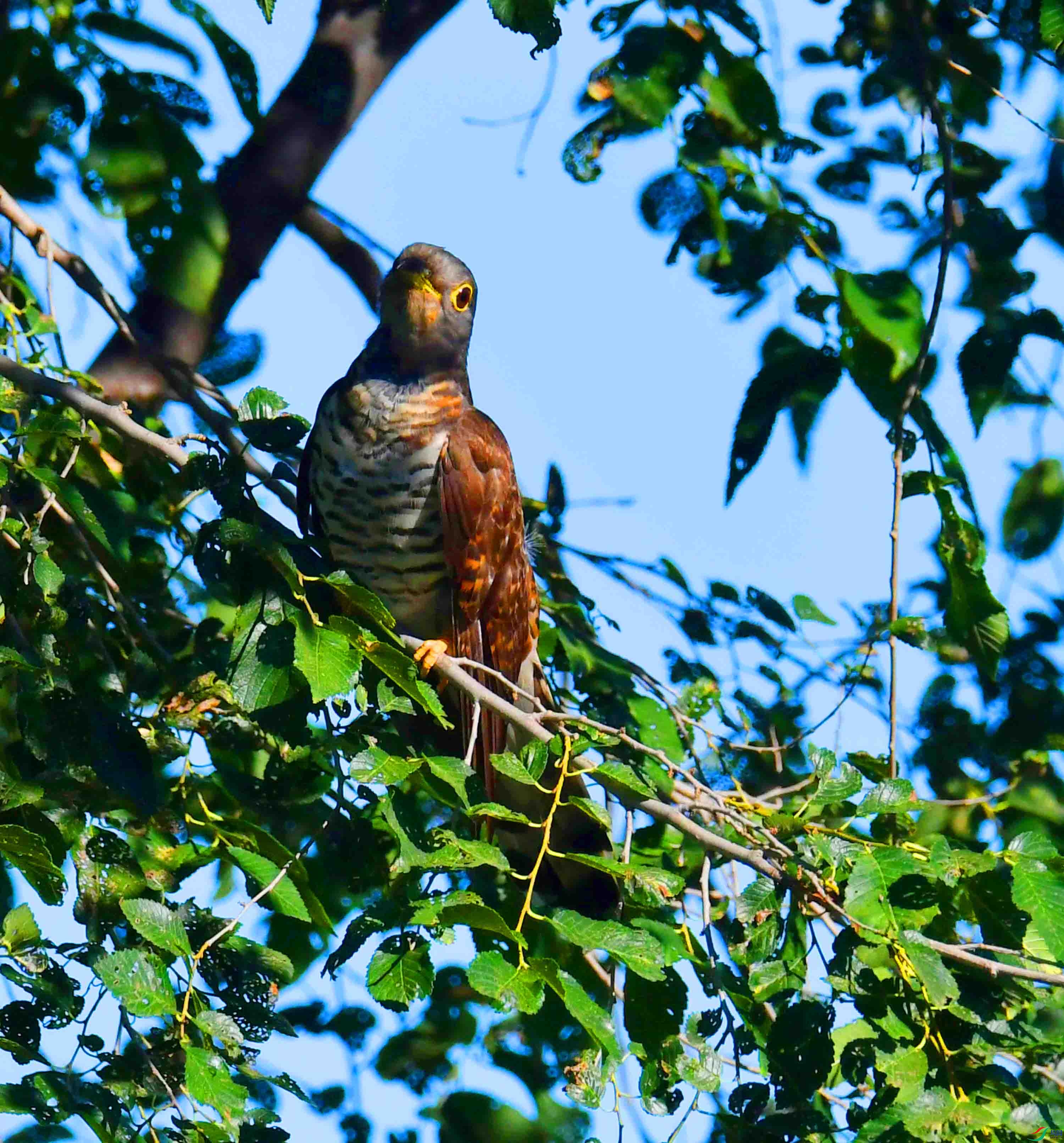 DSC_7938.JPG
