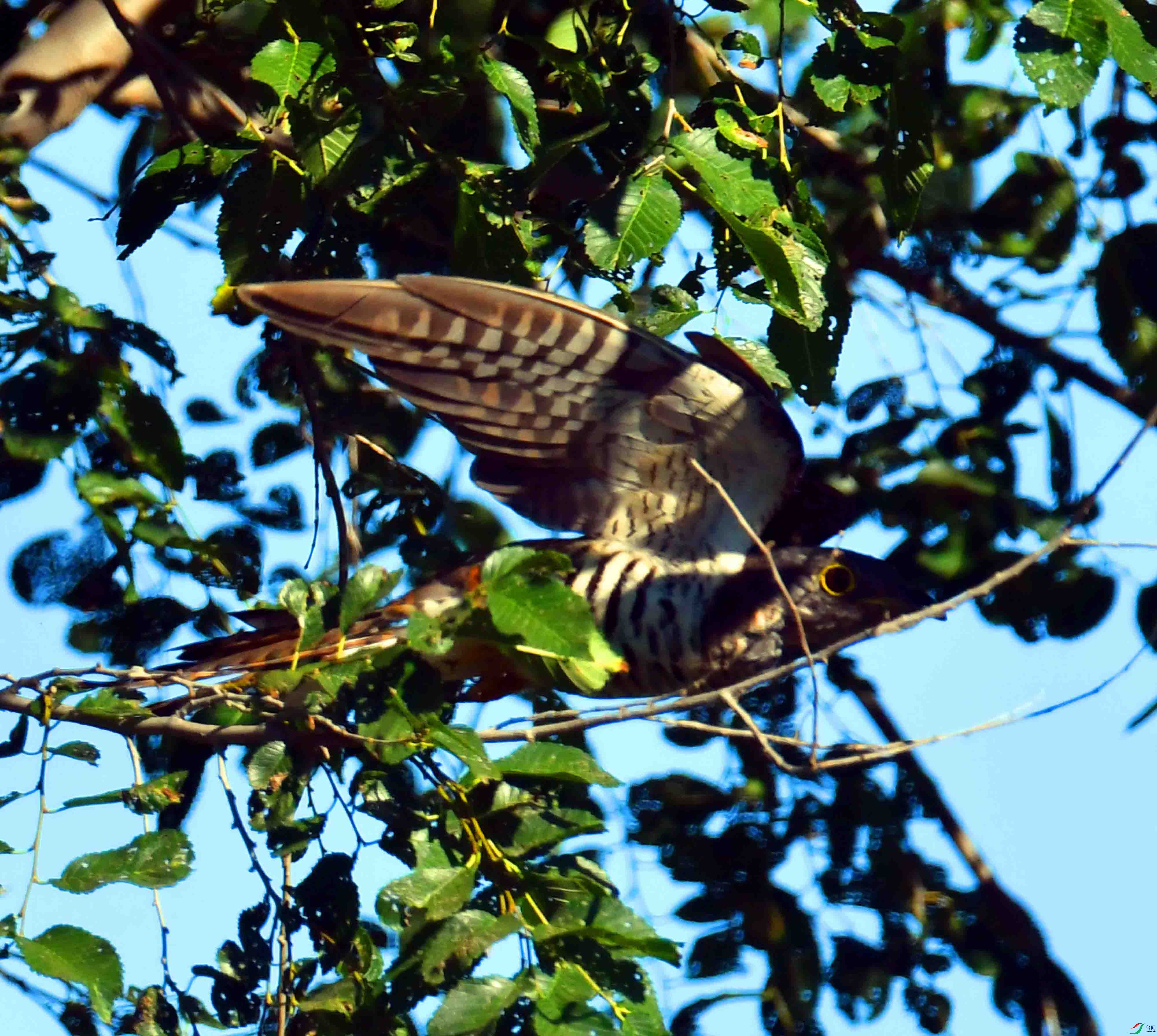 DSC_7989.JPG