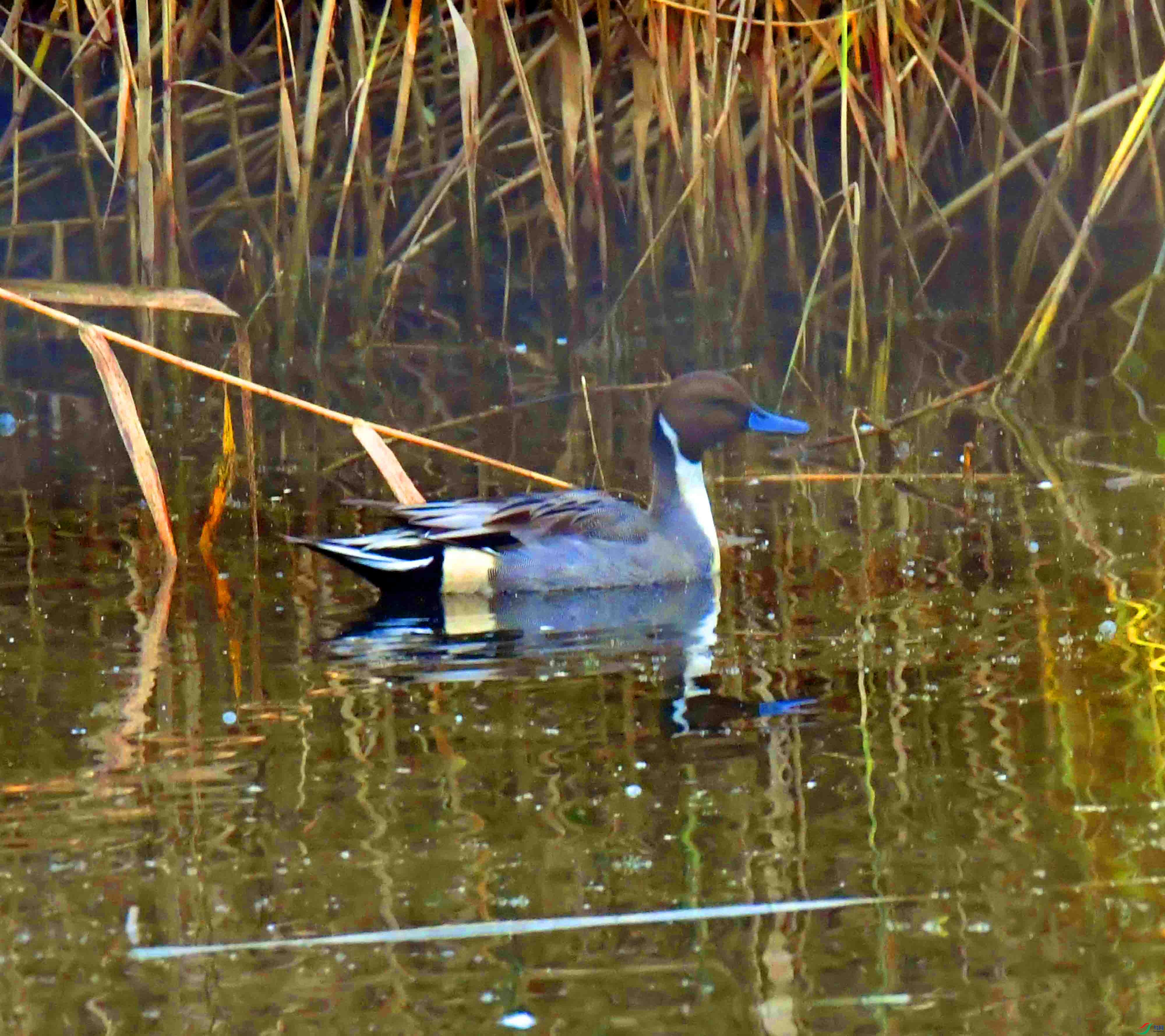 DSC_2916.JPG