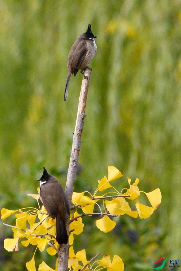 DSC_5663.JPG