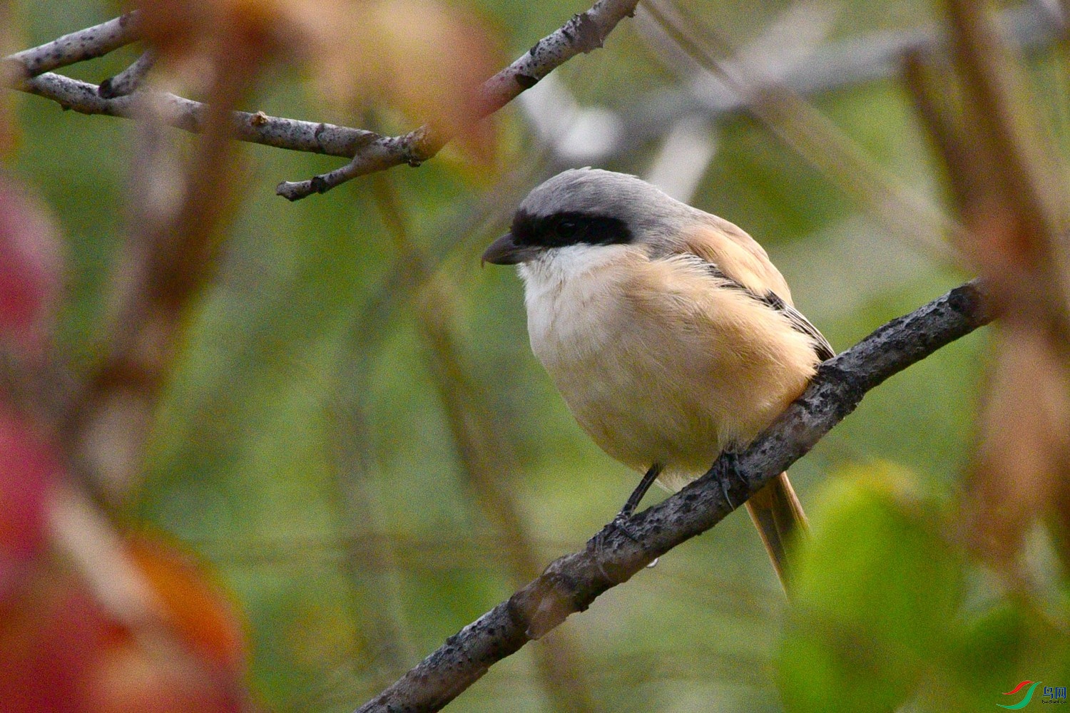 DSC_5684.JPG