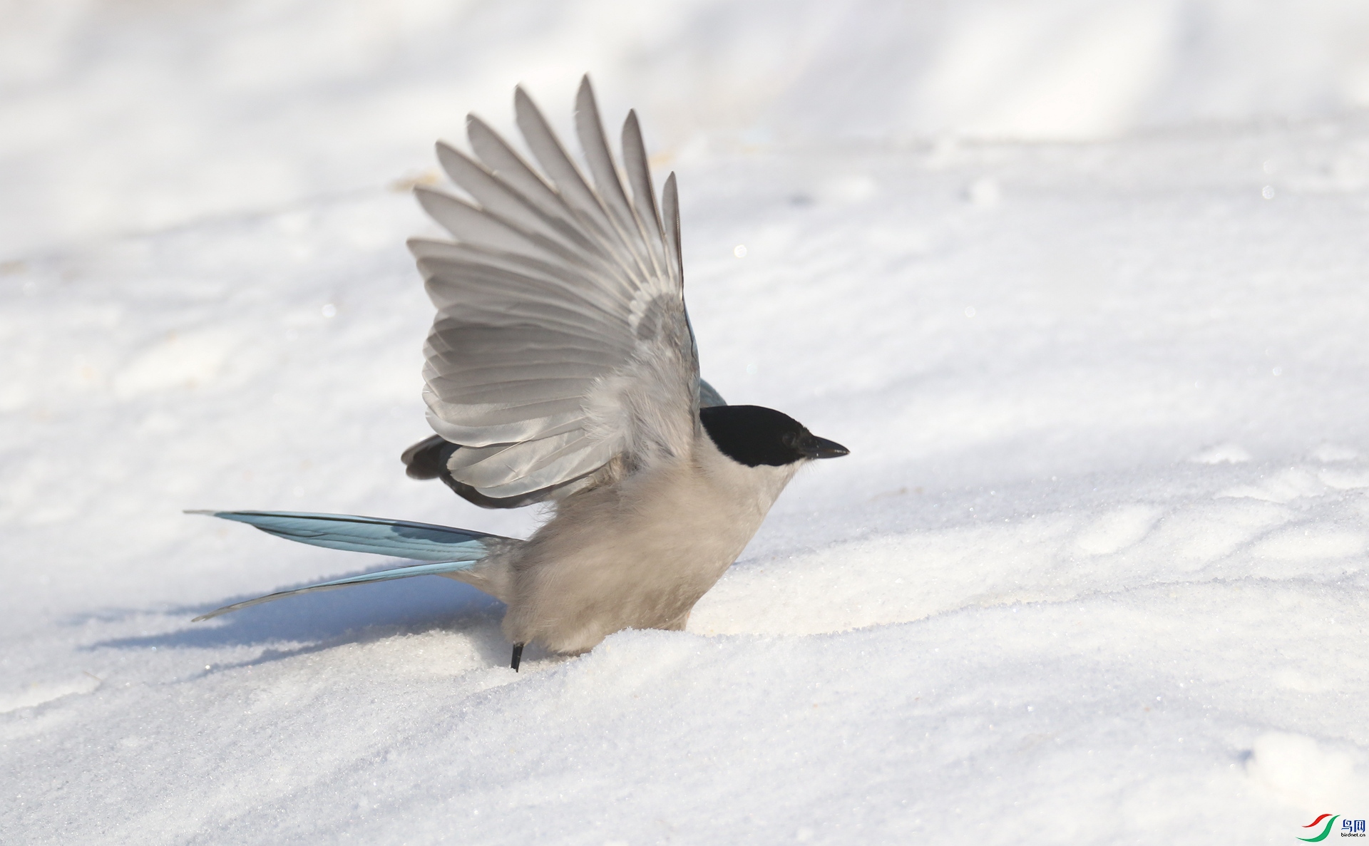 0G1A5279 ����.jpg