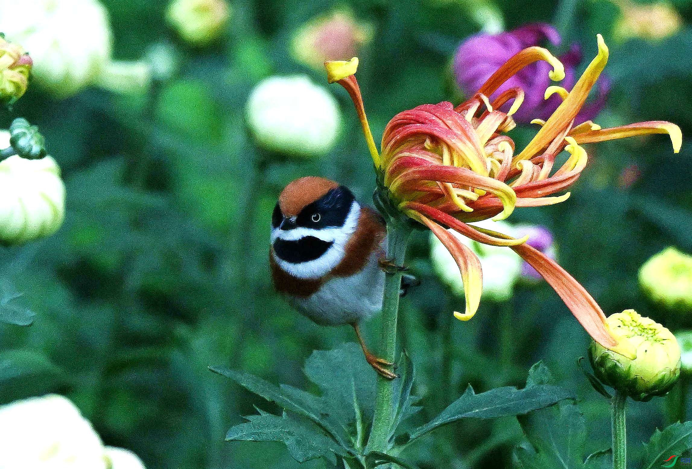 DSC_3479.jpg