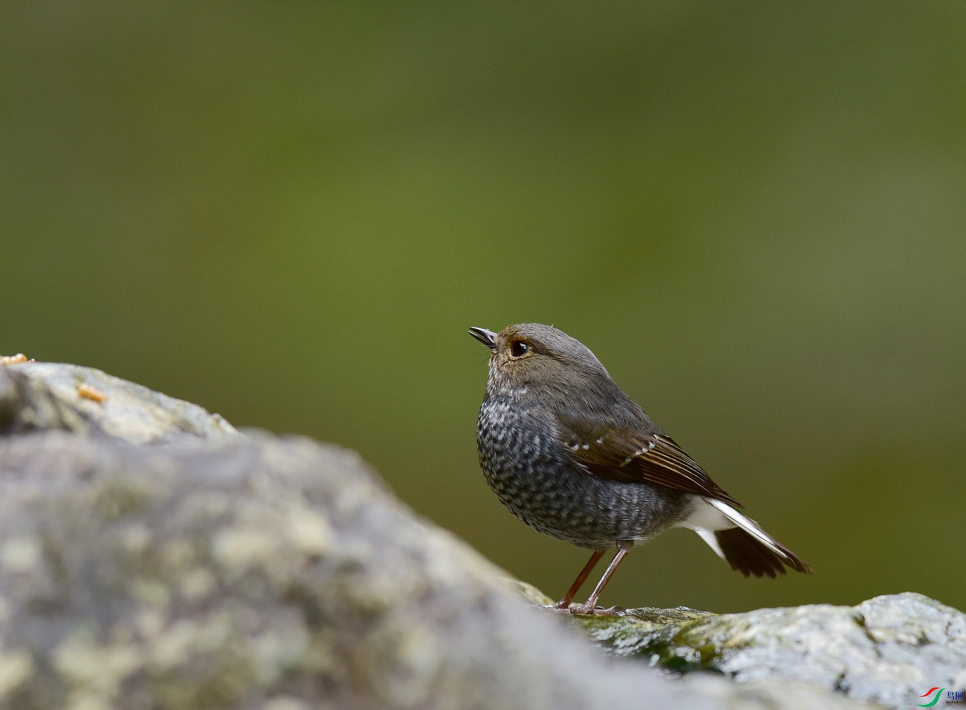 D8I_0577.jpg