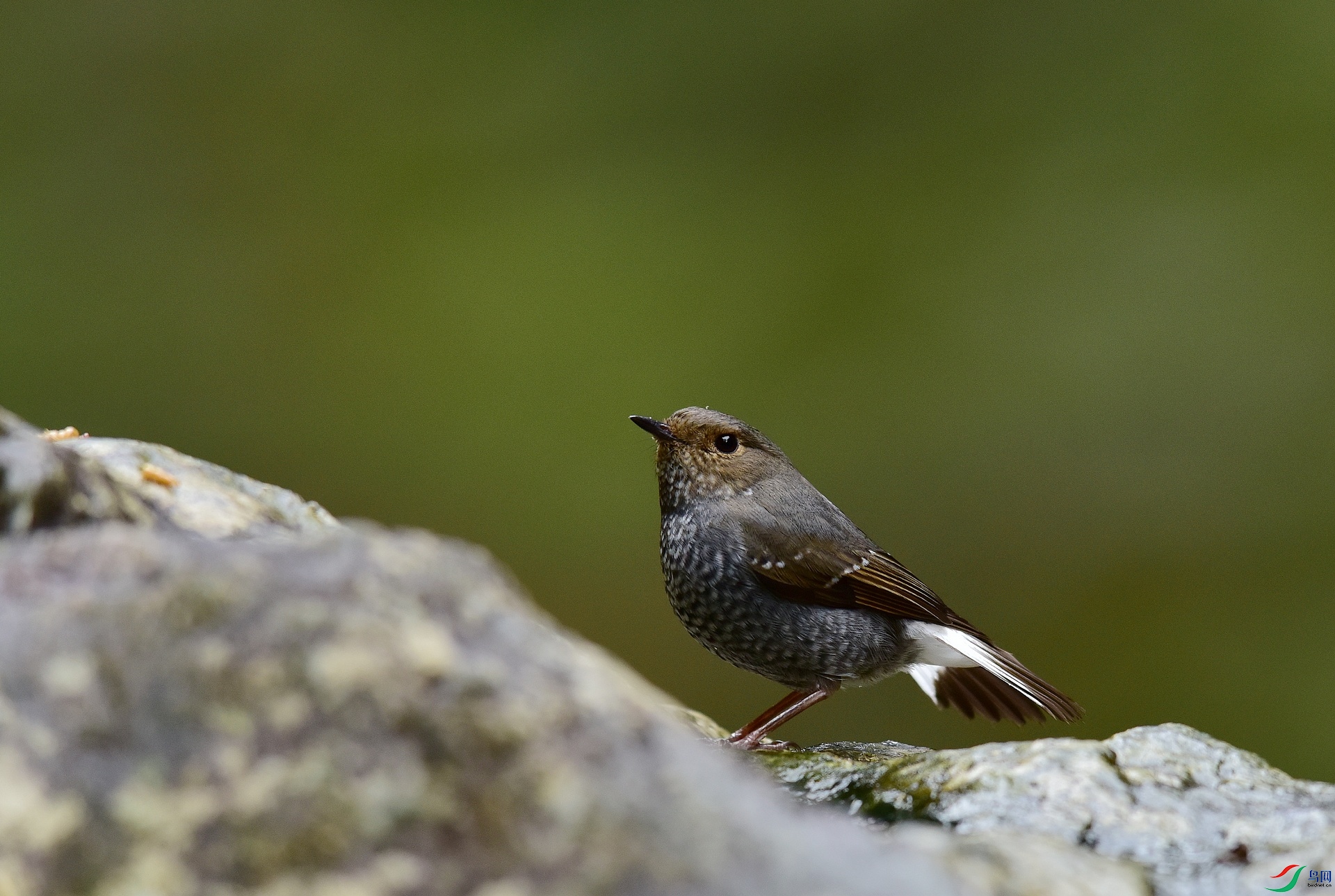 D8I_0579.jpg