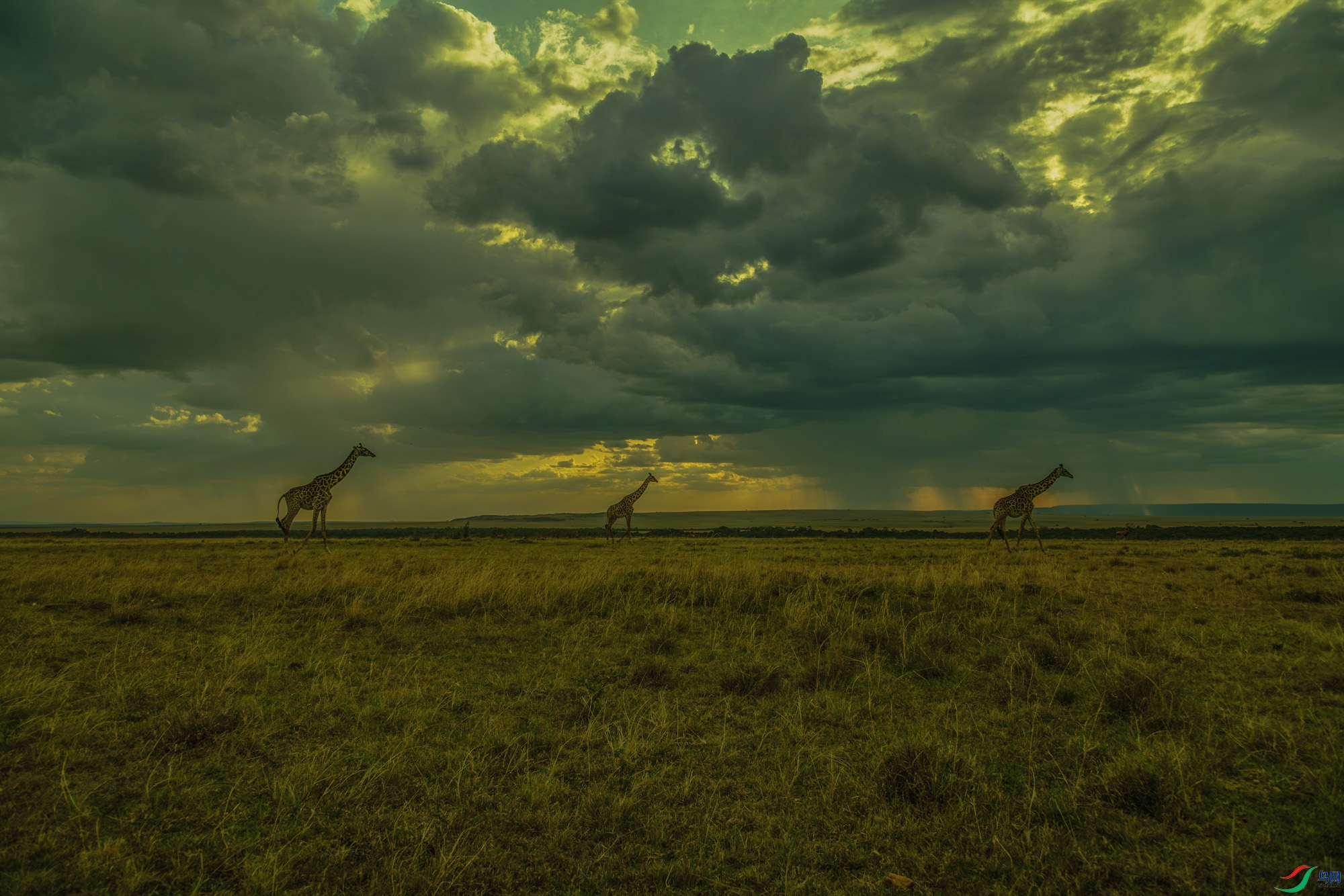 _DSC0093-����ǿ-NR ����_1.jpg