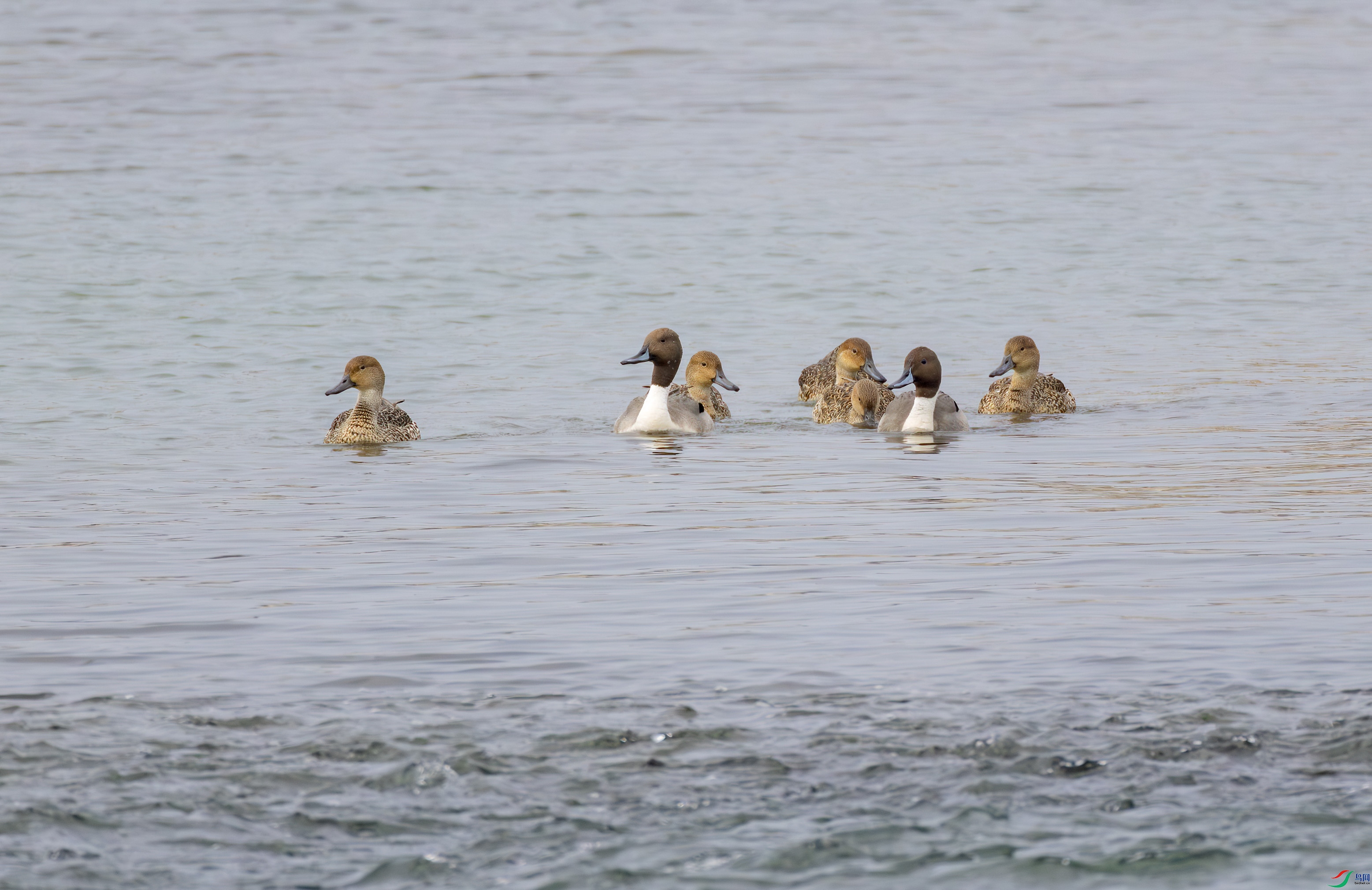 2I1A0904-����ǿ-NR ����.jpg