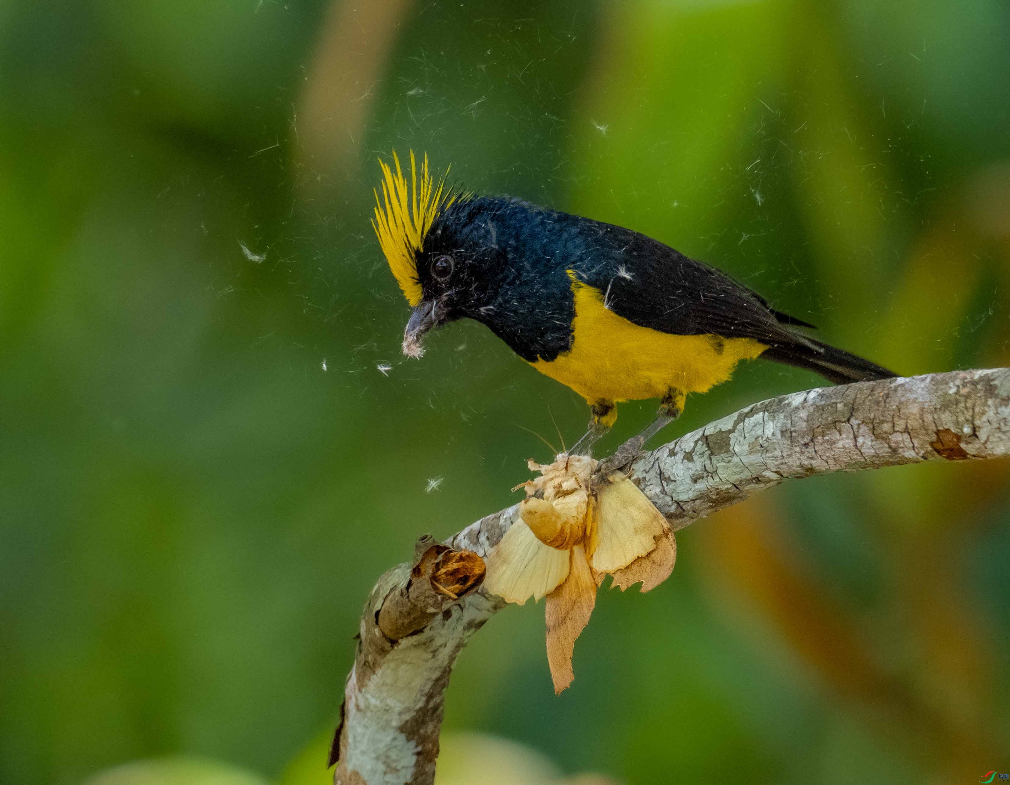 P3181704 ---��ȸ.jpg