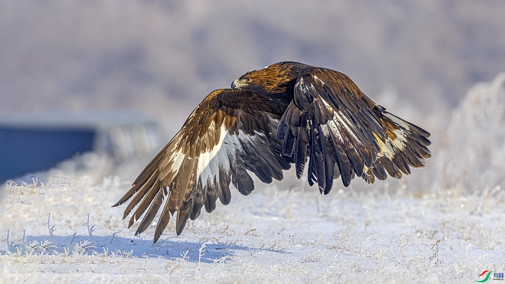 256A3139 ���� 3.jpg