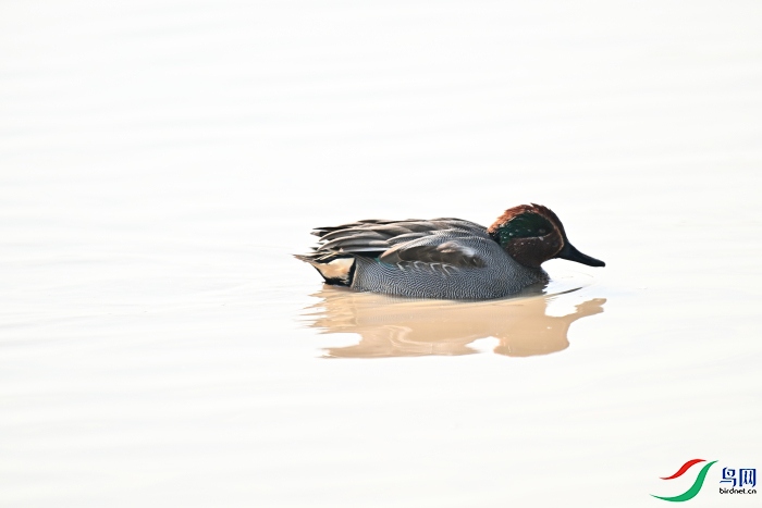 DSC_9926.JPG