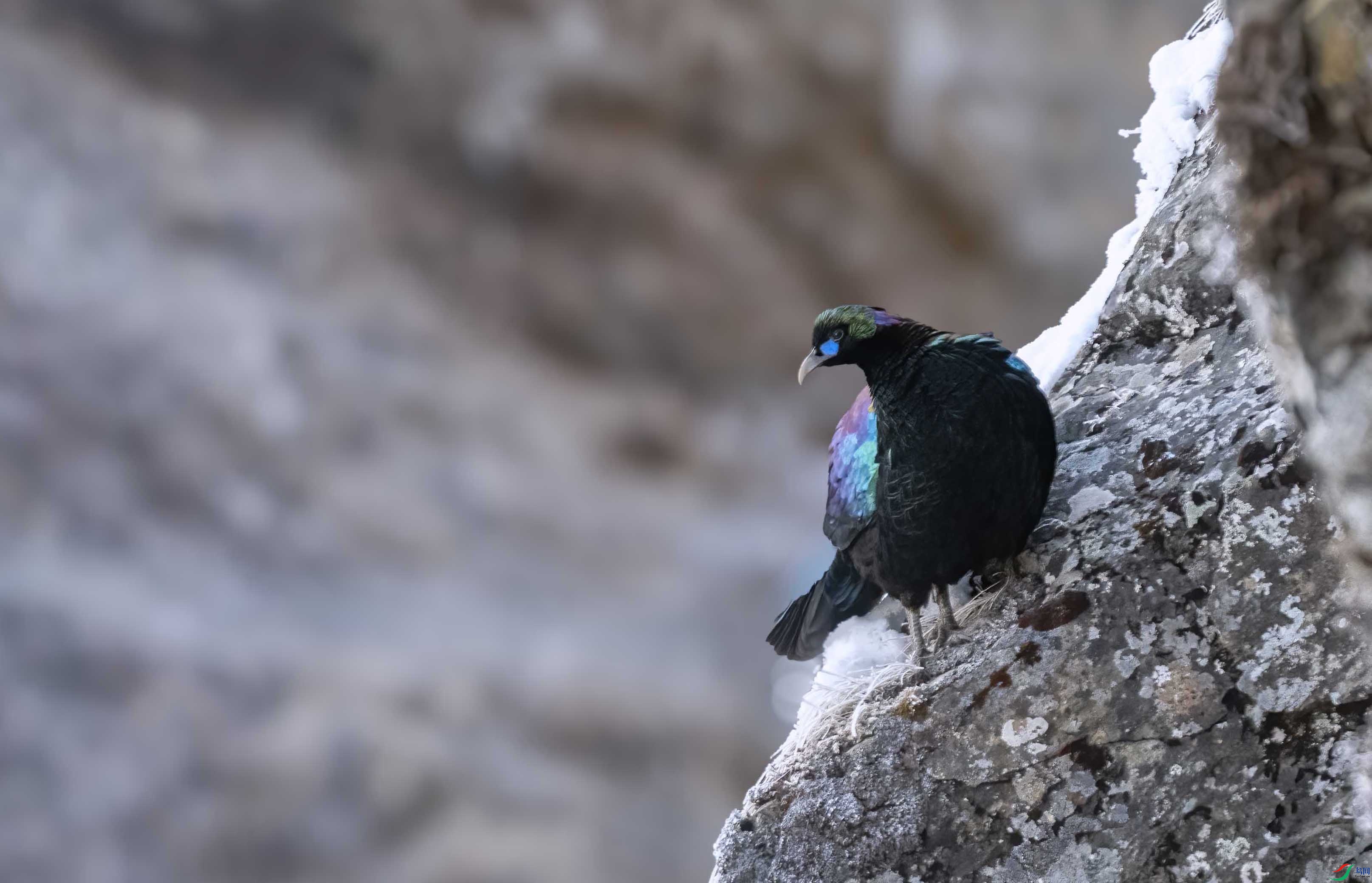 DSC_6818 ����.jpg