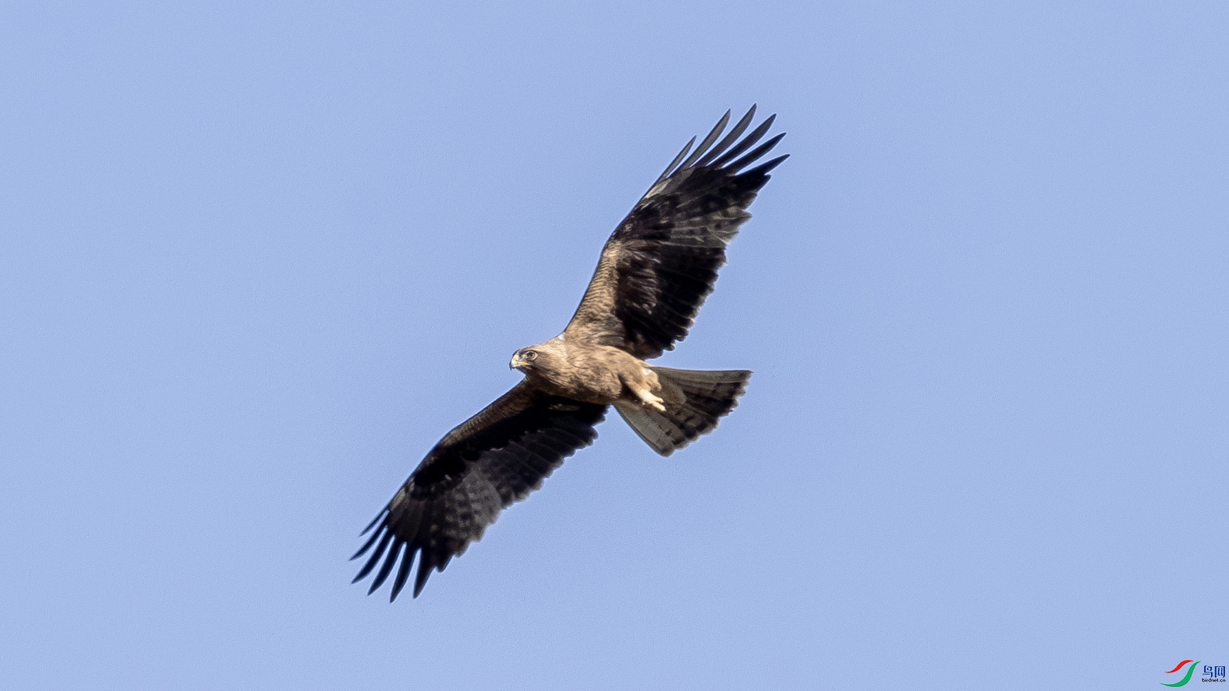 17-ѥ���� ����.jpg