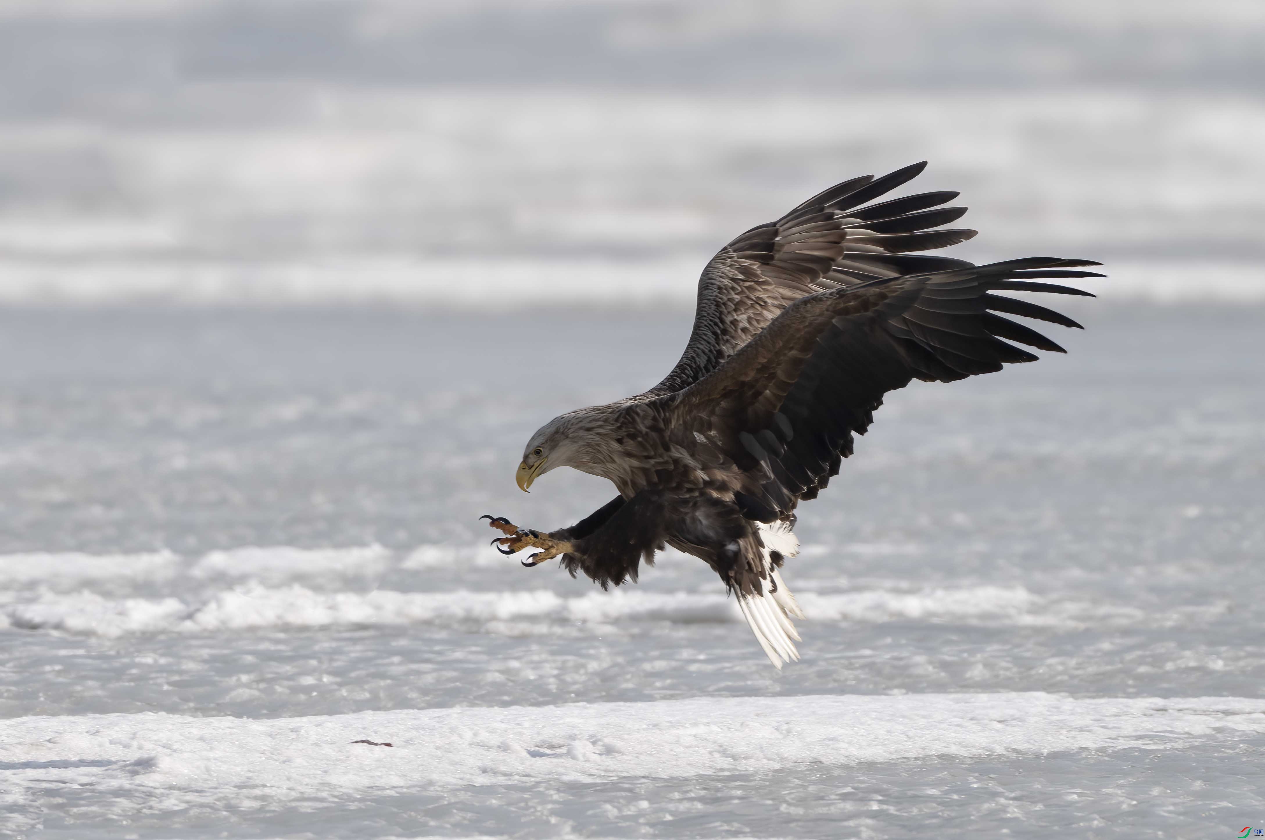 DSC07818 ����.jpg