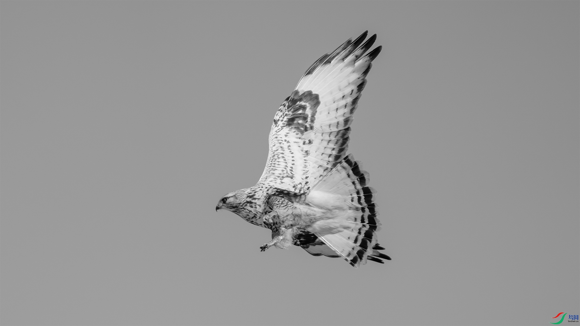 _DSC0519 ���� 2.jpg