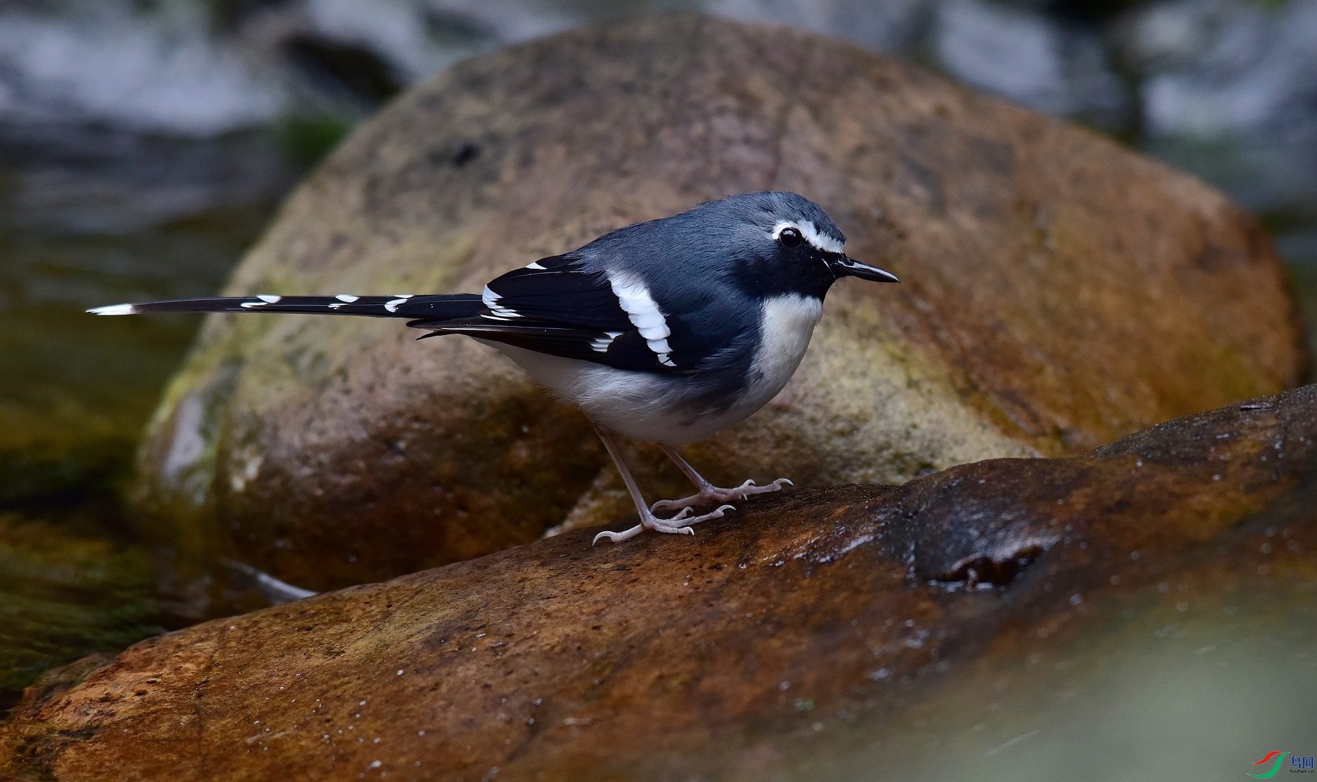 D8I_0704.jpg