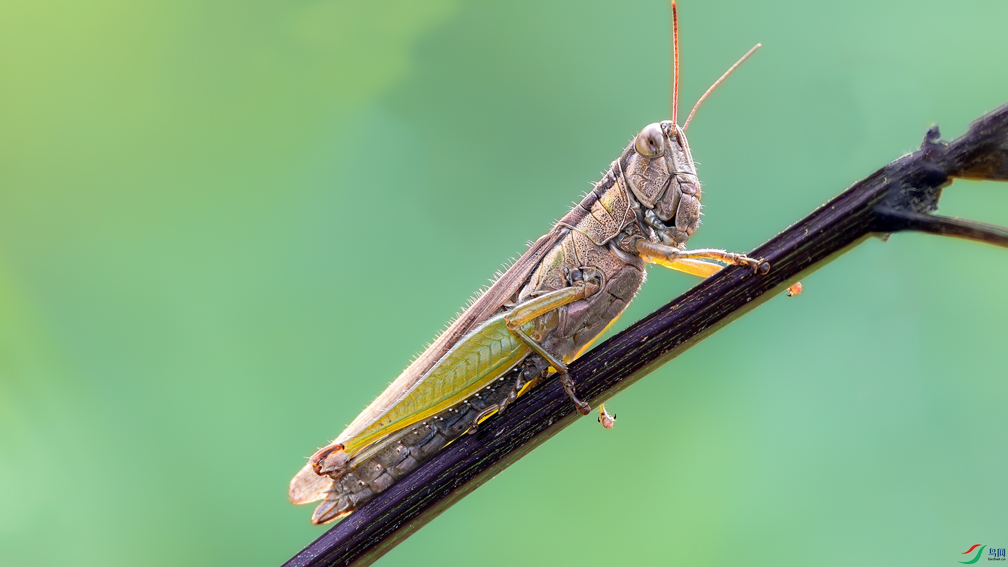 3Z0A3964-����ǿ-NR.jpg
