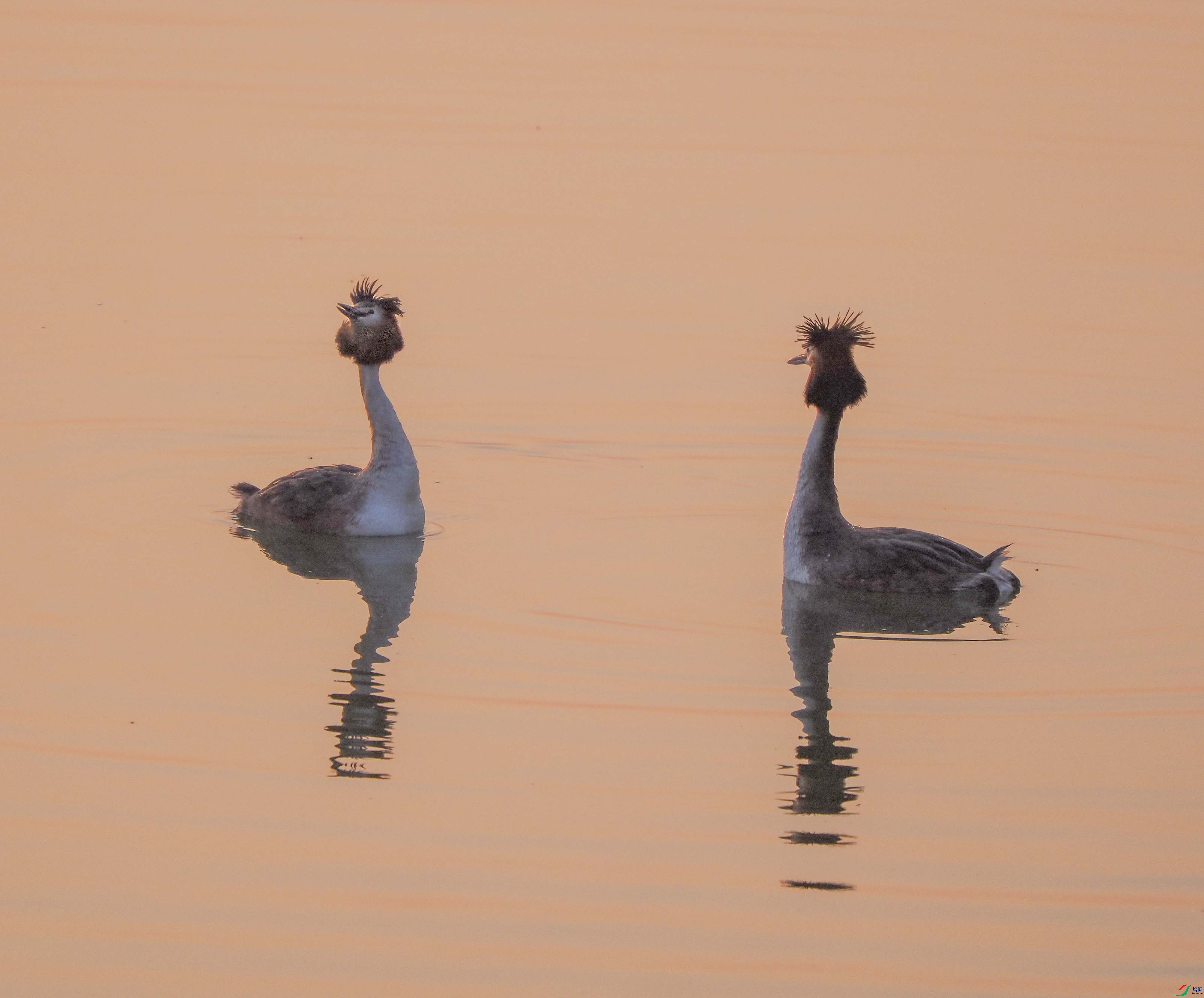 1-xtP3050458 ����.jpg