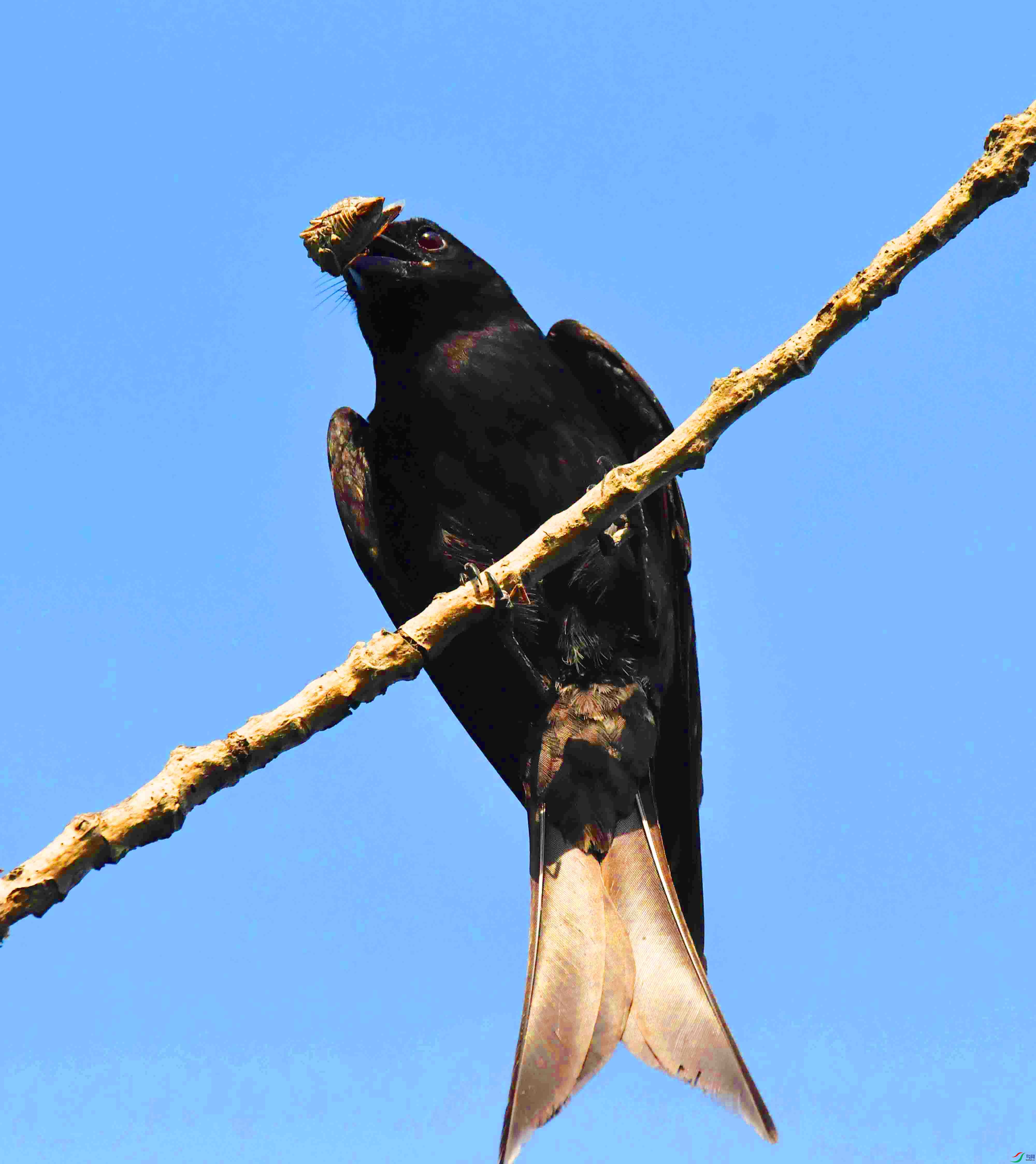 DSC_9148.JPG