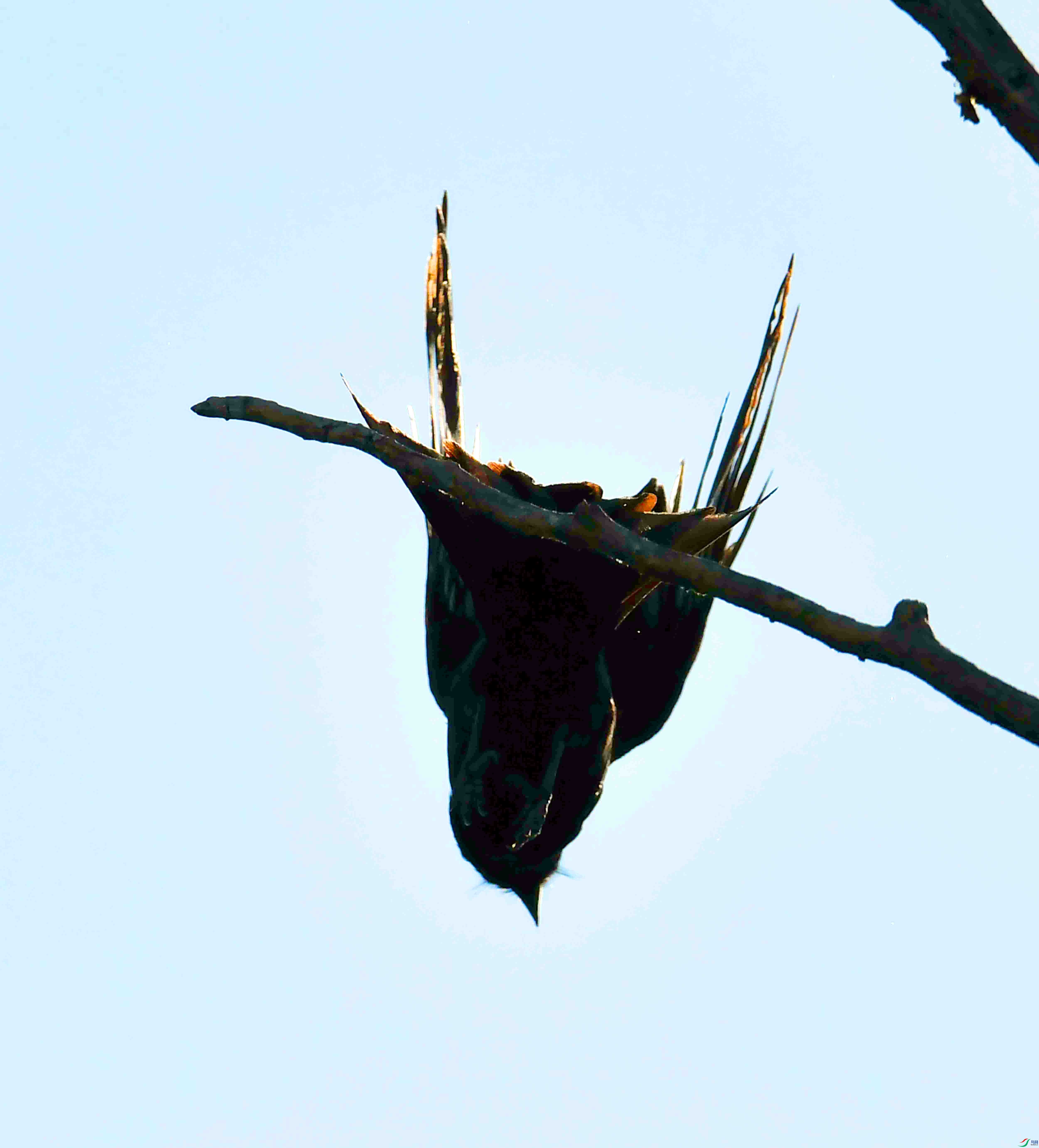 DSC_9258.JPG