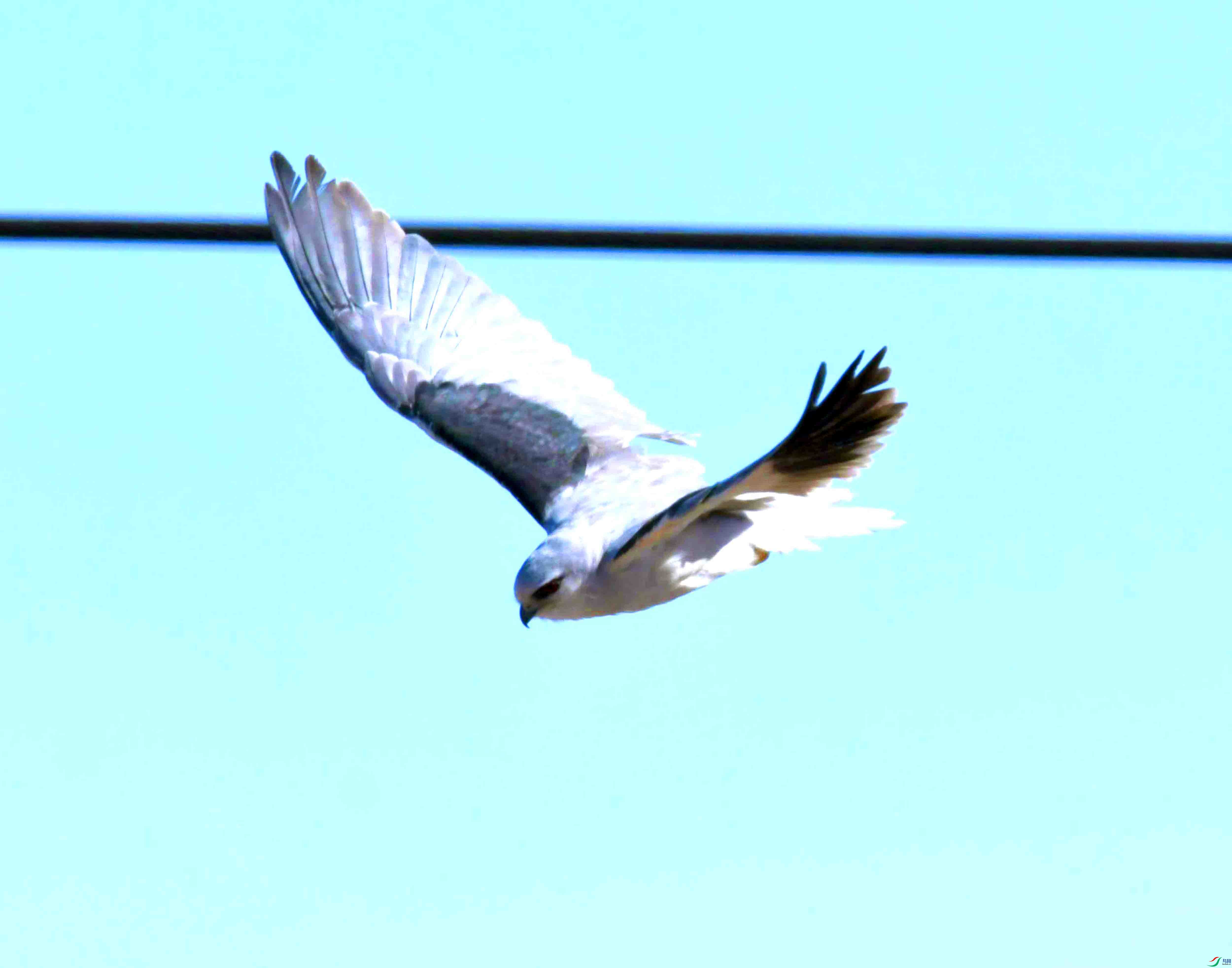 DSC_8673.JPG