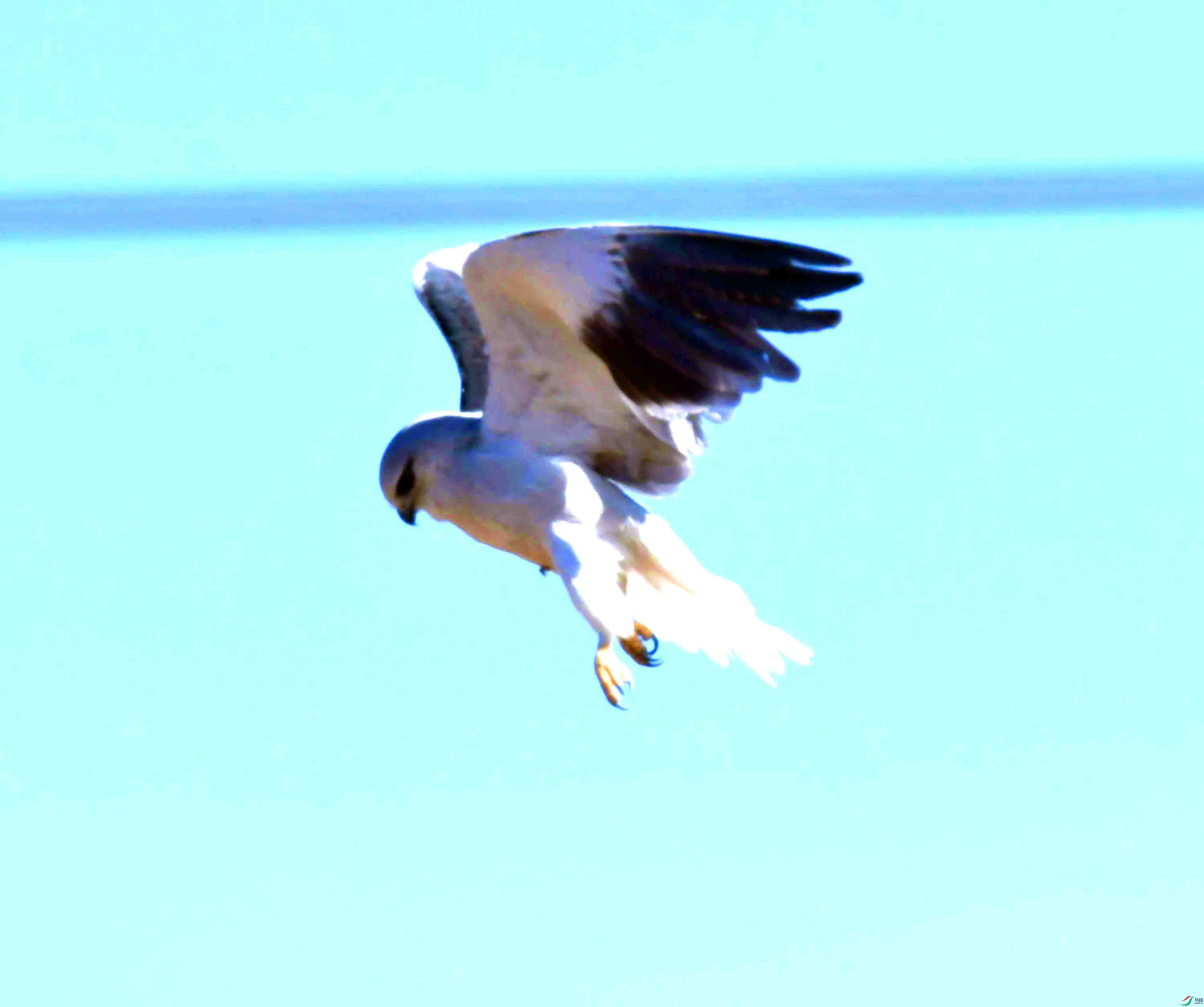 DSC_8677.JPG