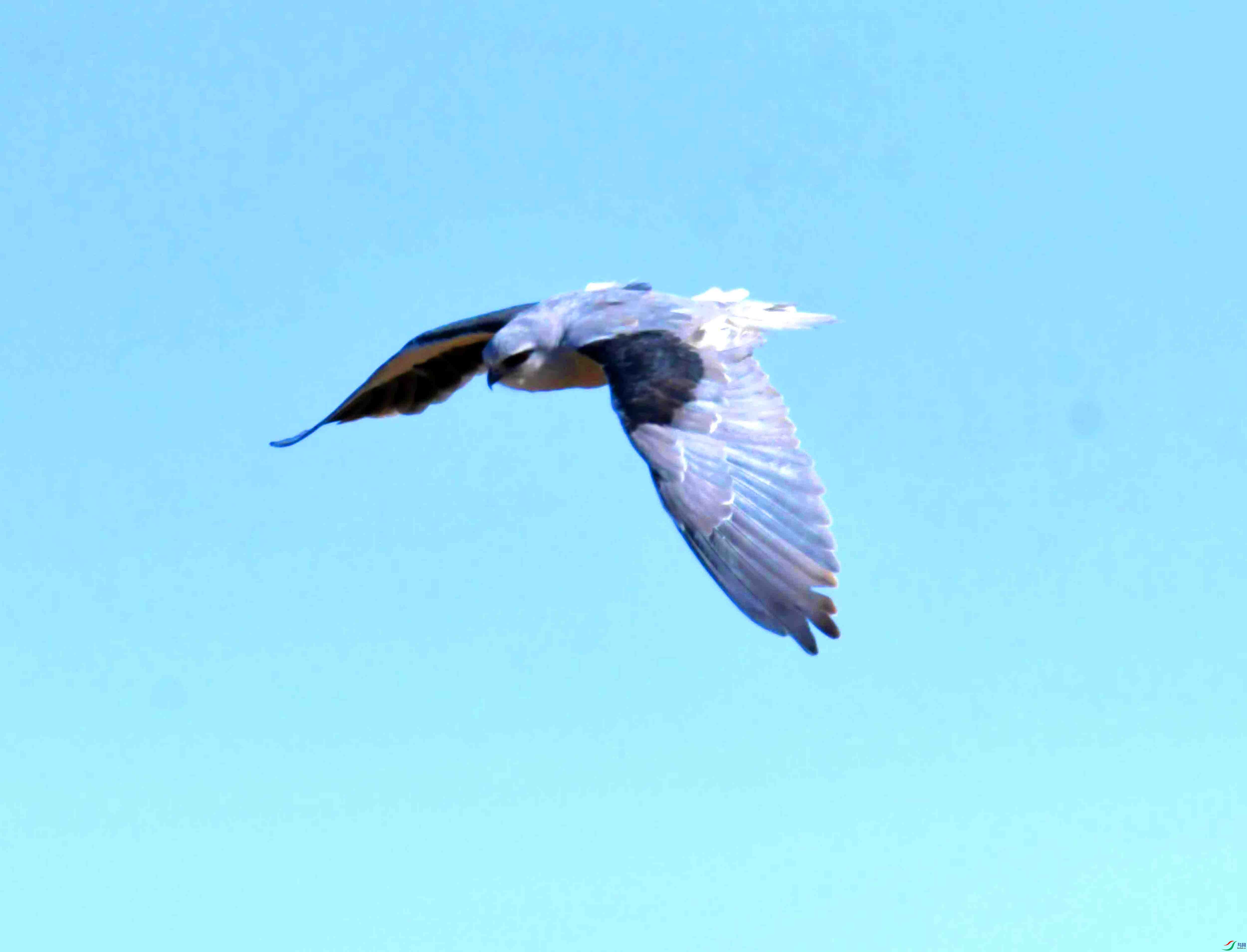 DSC_8674.JPG