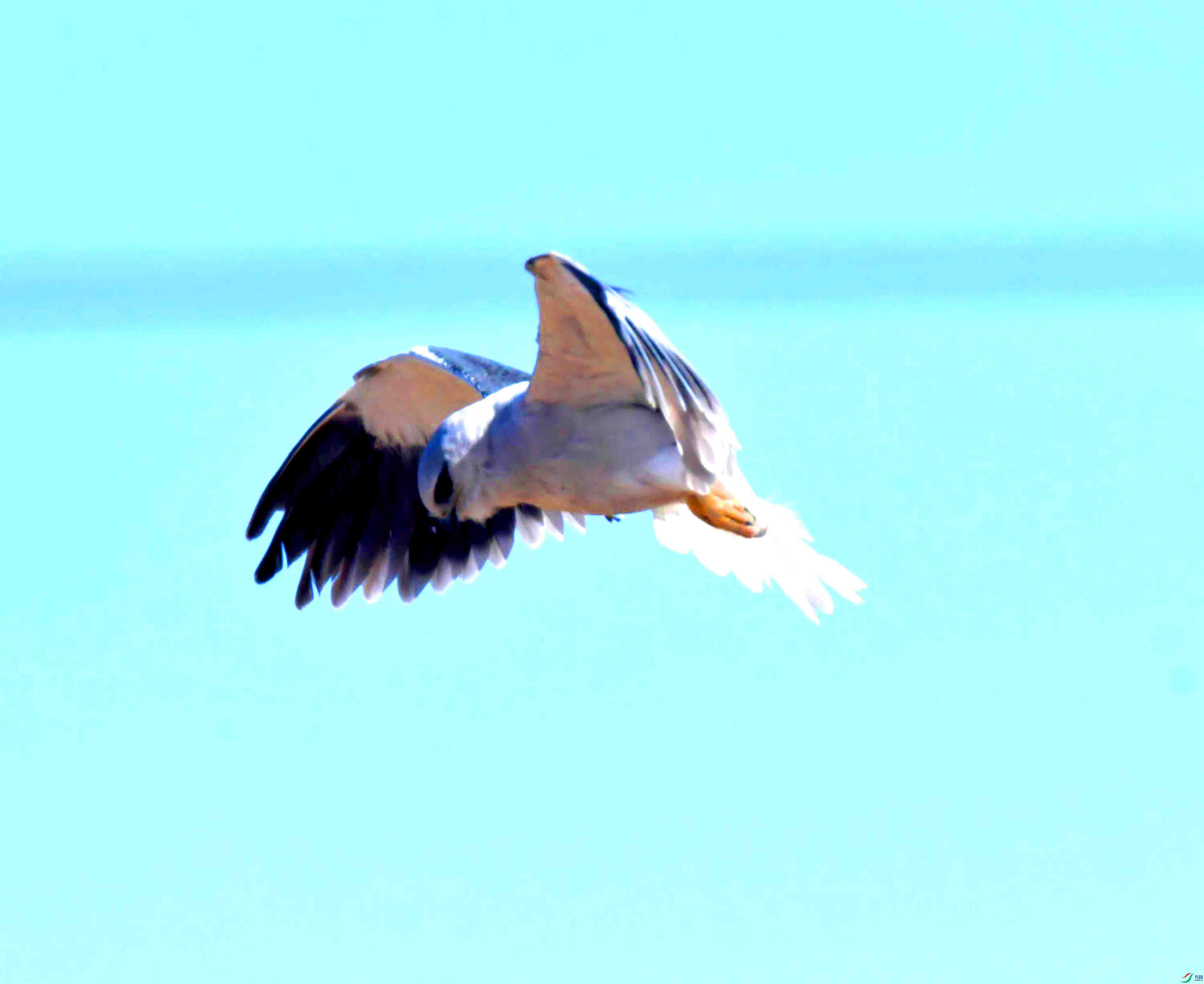 DSC_8679.JPG