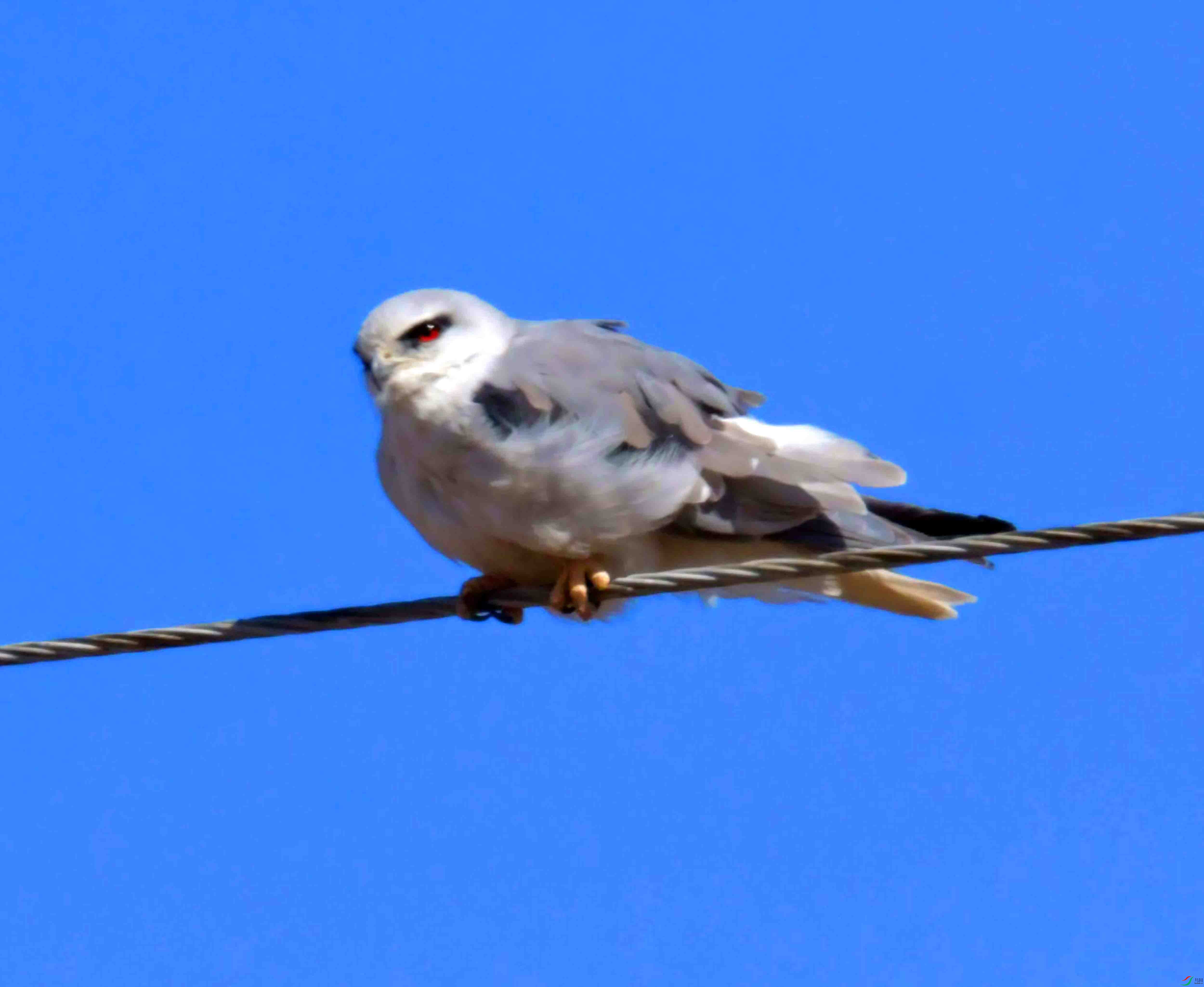DSC_8762.JPG