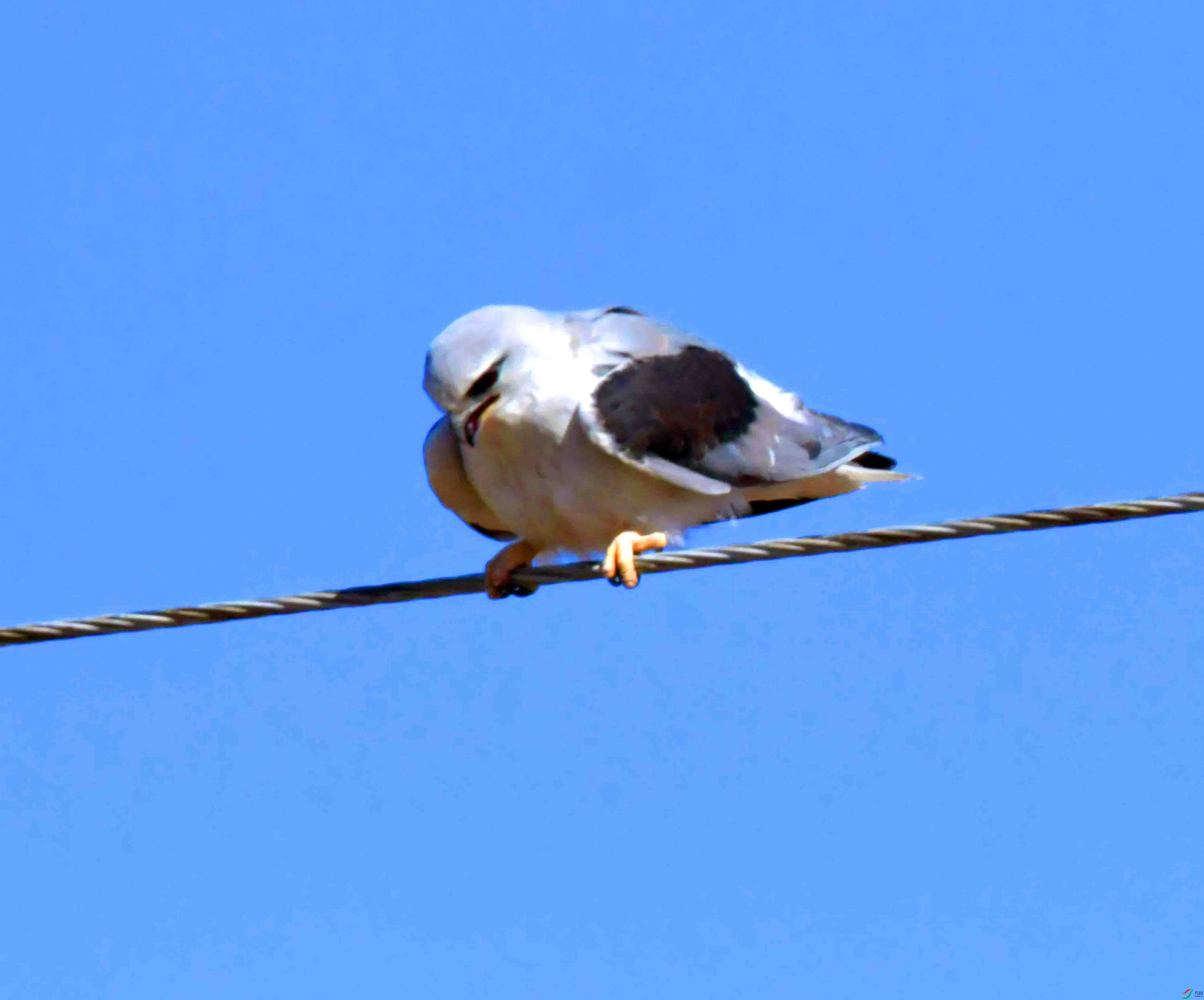 DSC_8761.JPG