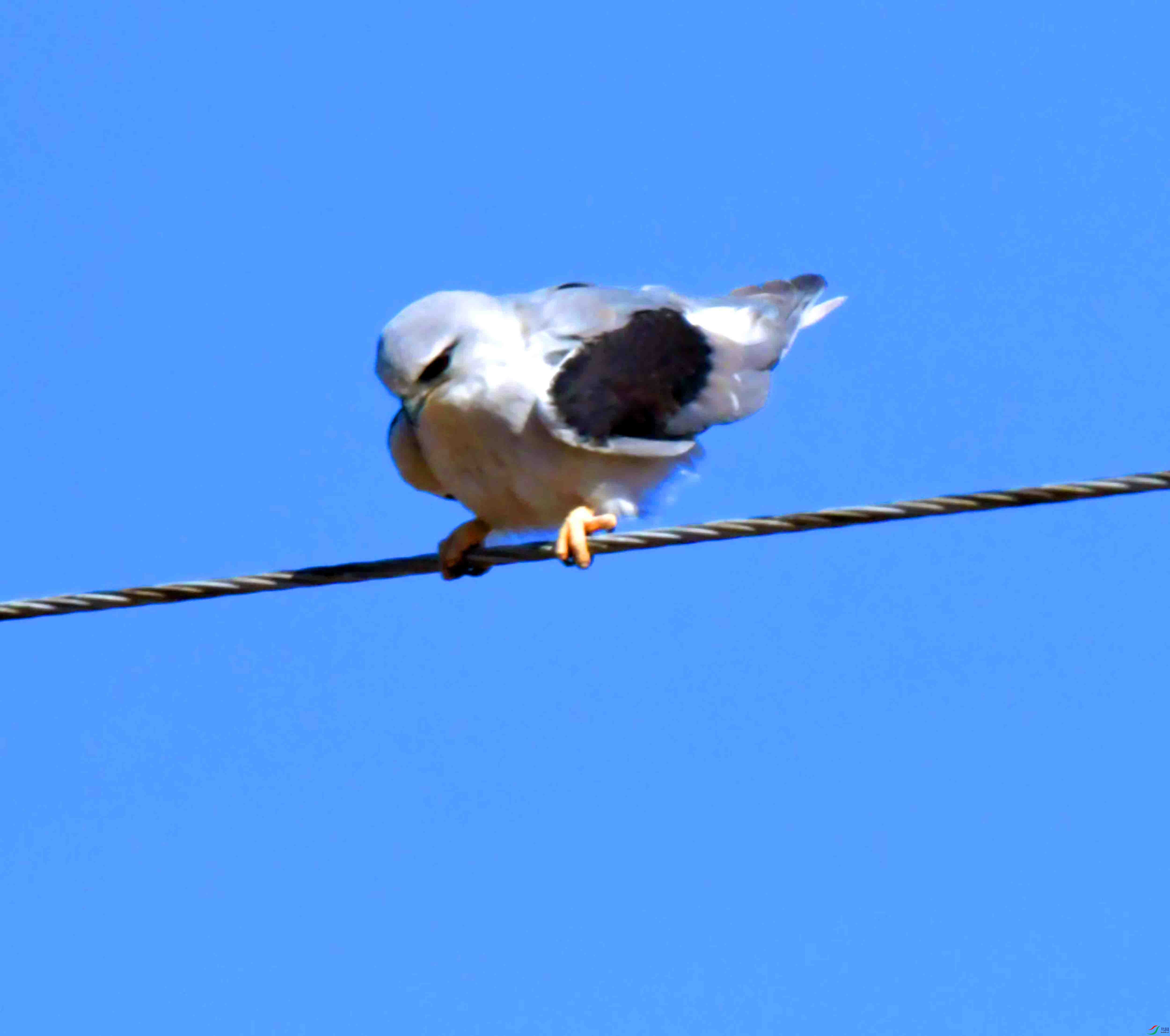 DSC_8760.JPG