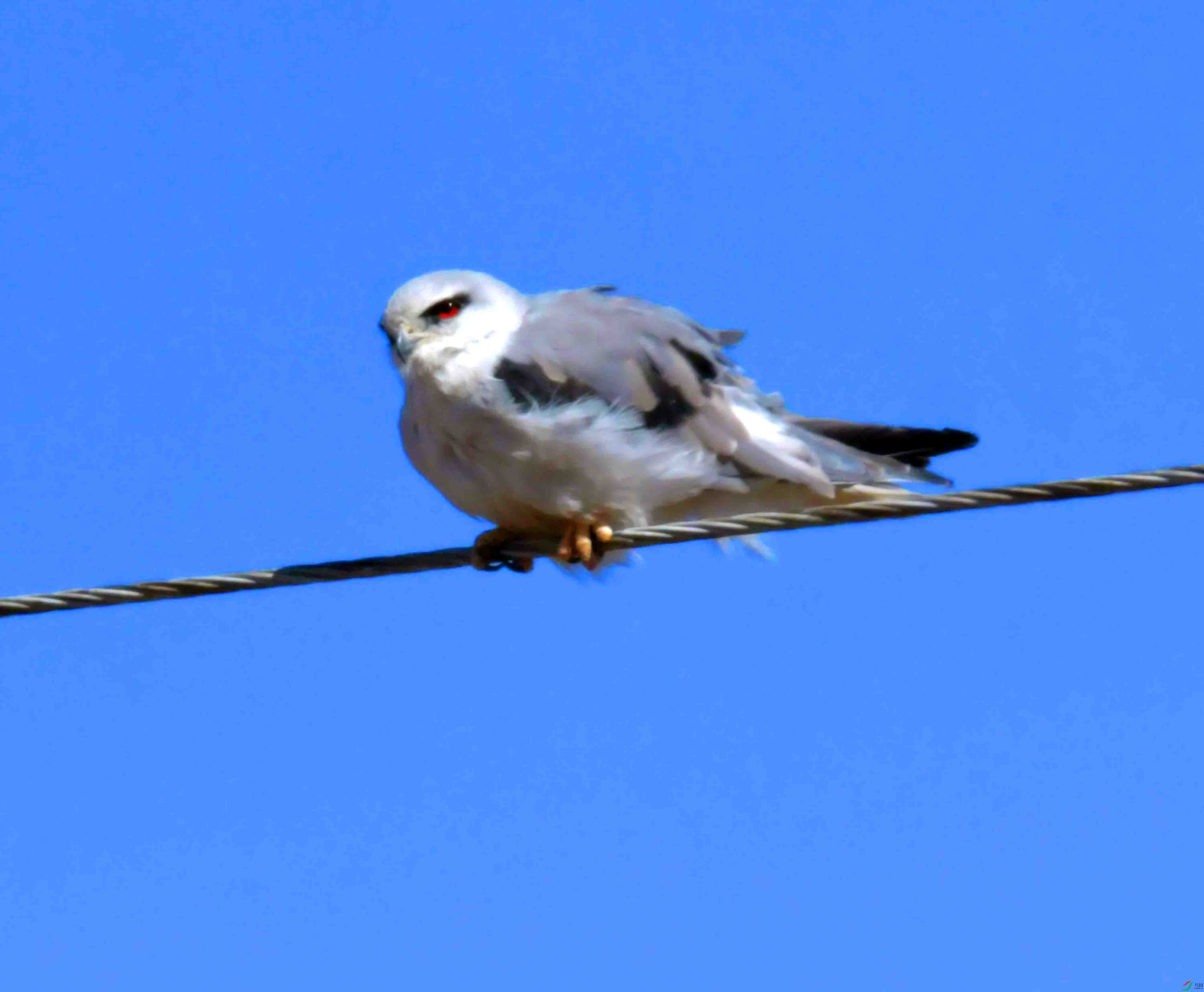 DSC_8764.JPG
