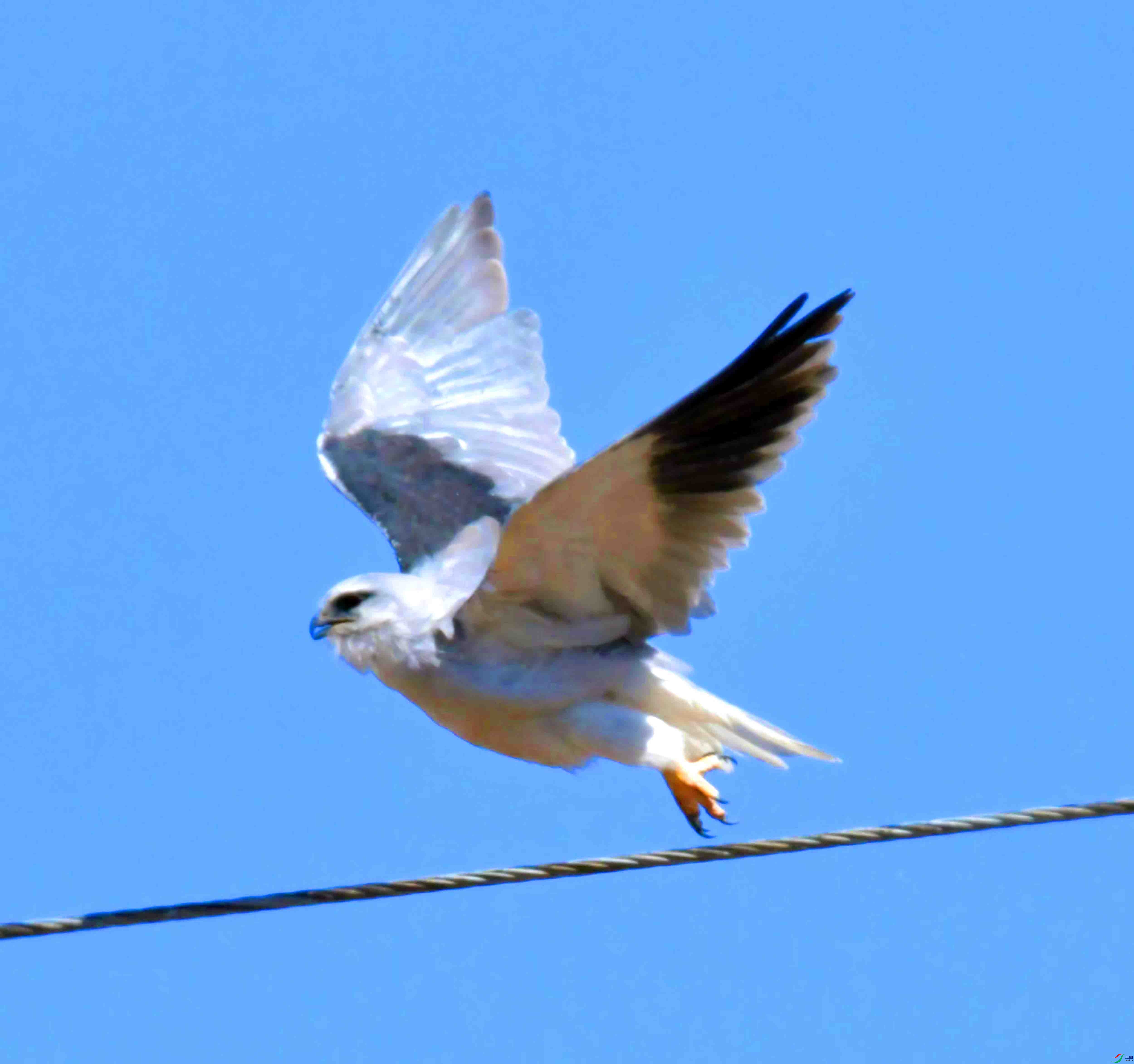 DSC_8767.JPG