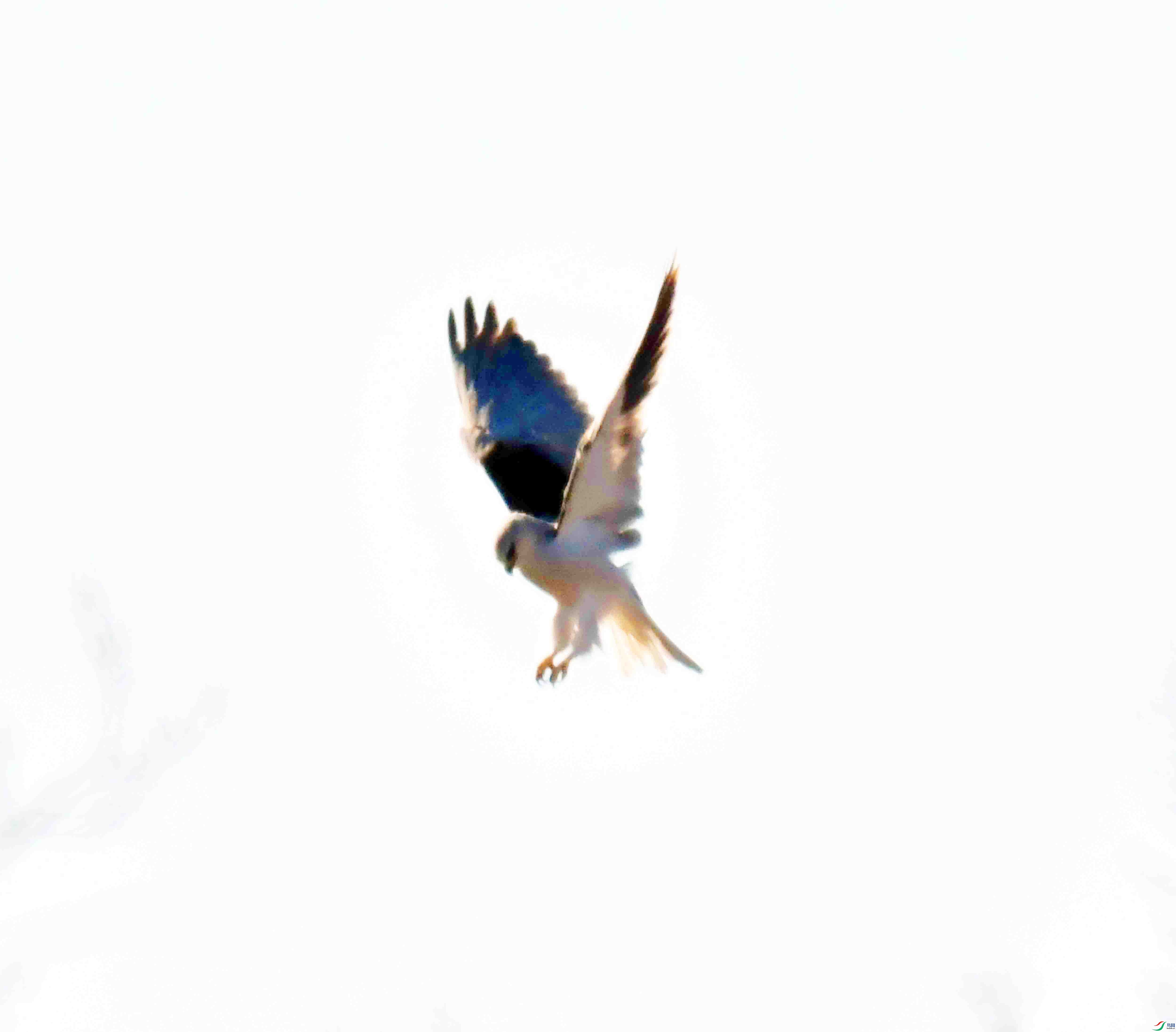 DSC_9472.JPG