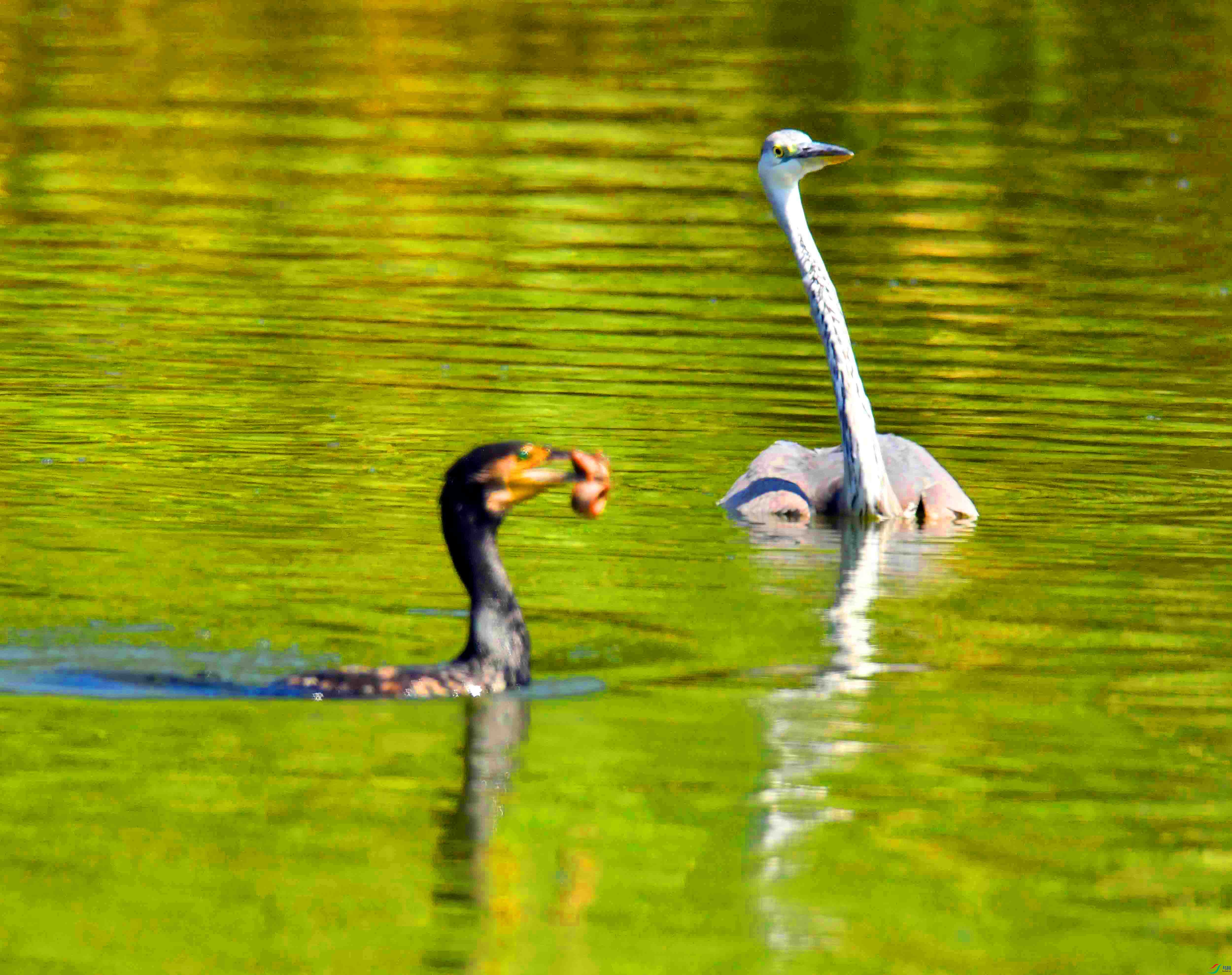 DSC_9149.JPG