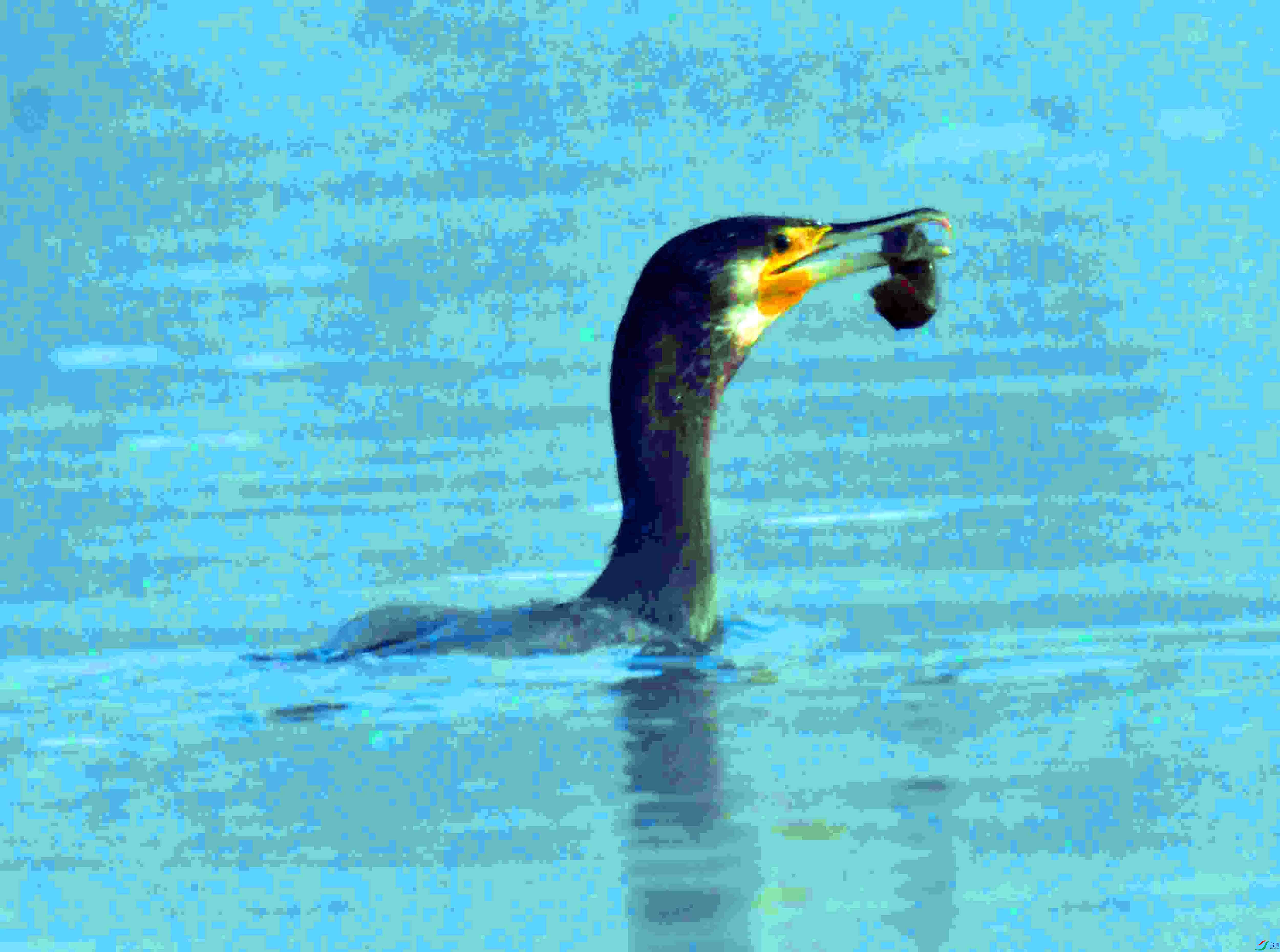 DSC_9319.JPG