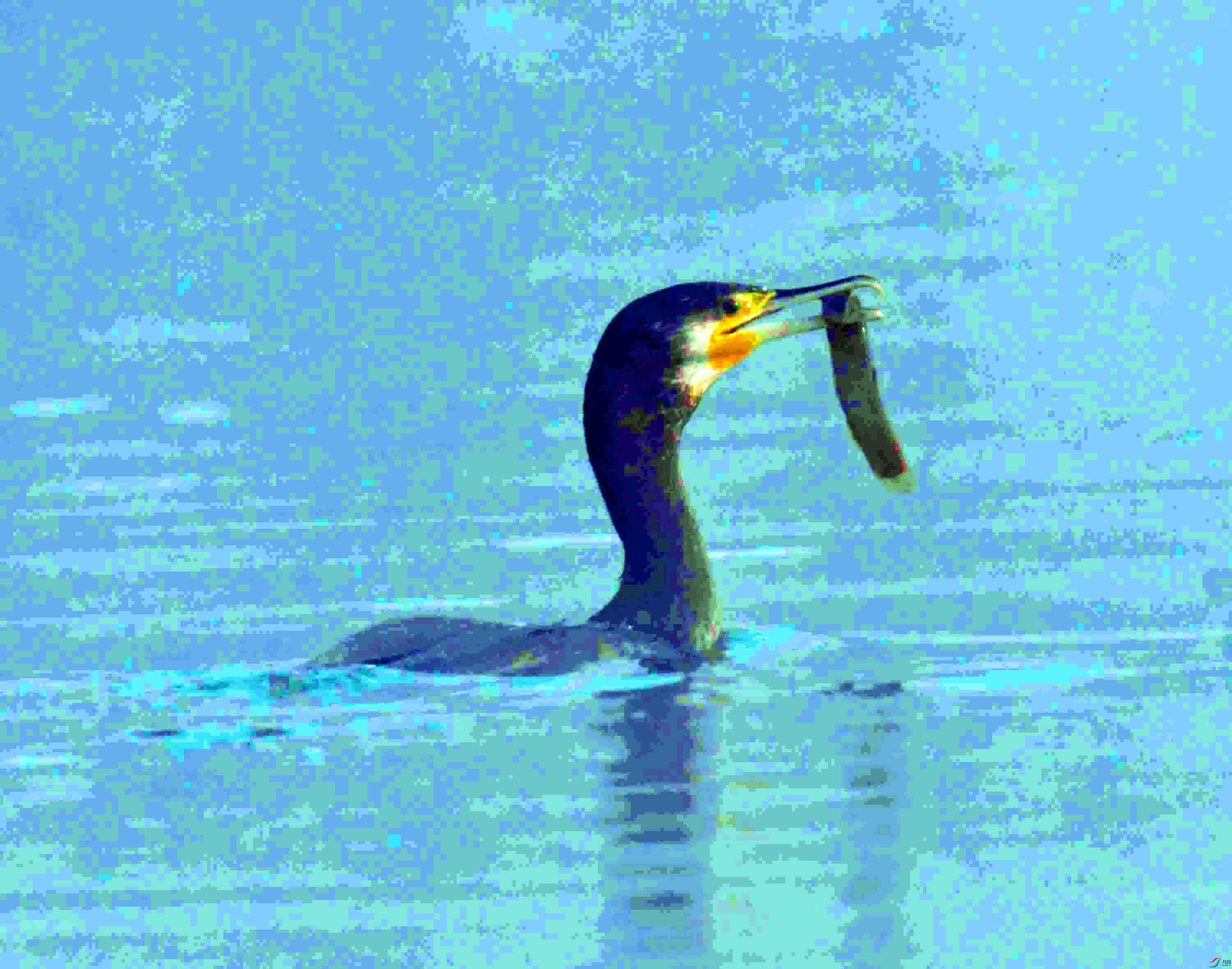 DSC_9321.JPG